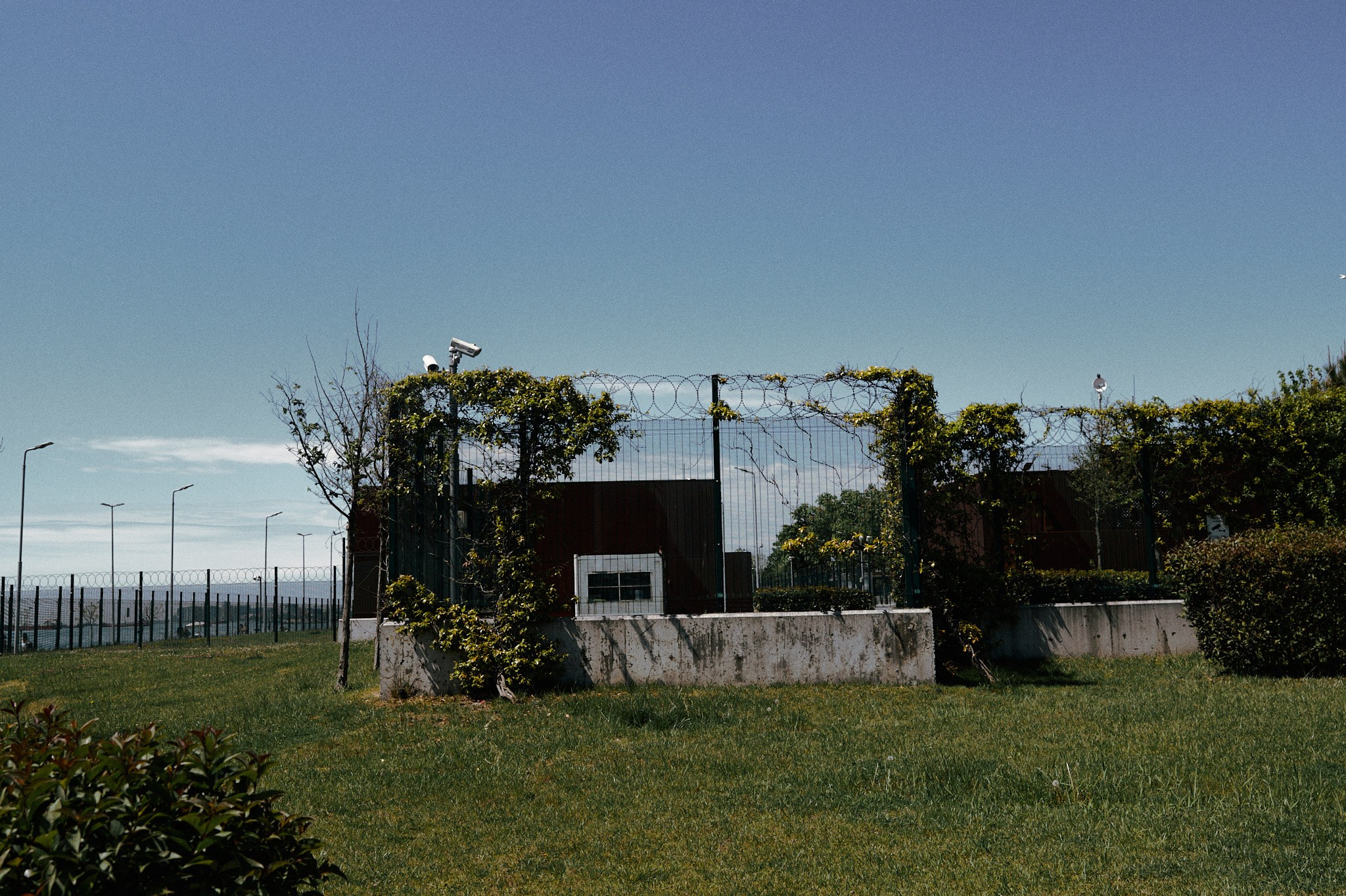 Улица горизонтальная. Jorgis — фотограф в Хургаде / обучение фотографии