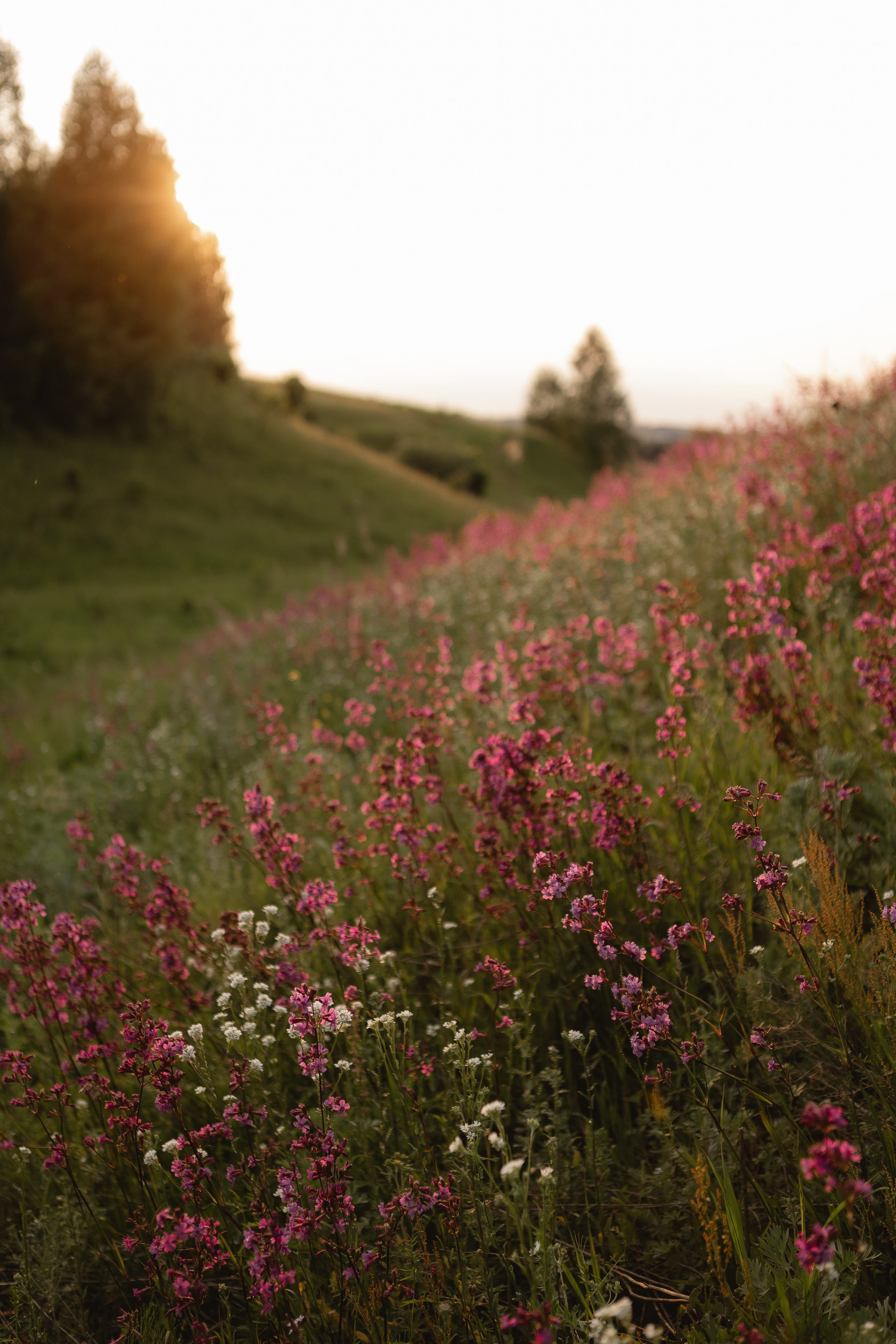 Анастасия с любимыми. Фотограф в Казани.Снимаю индивидуальные портреты, love story и свадьбы
