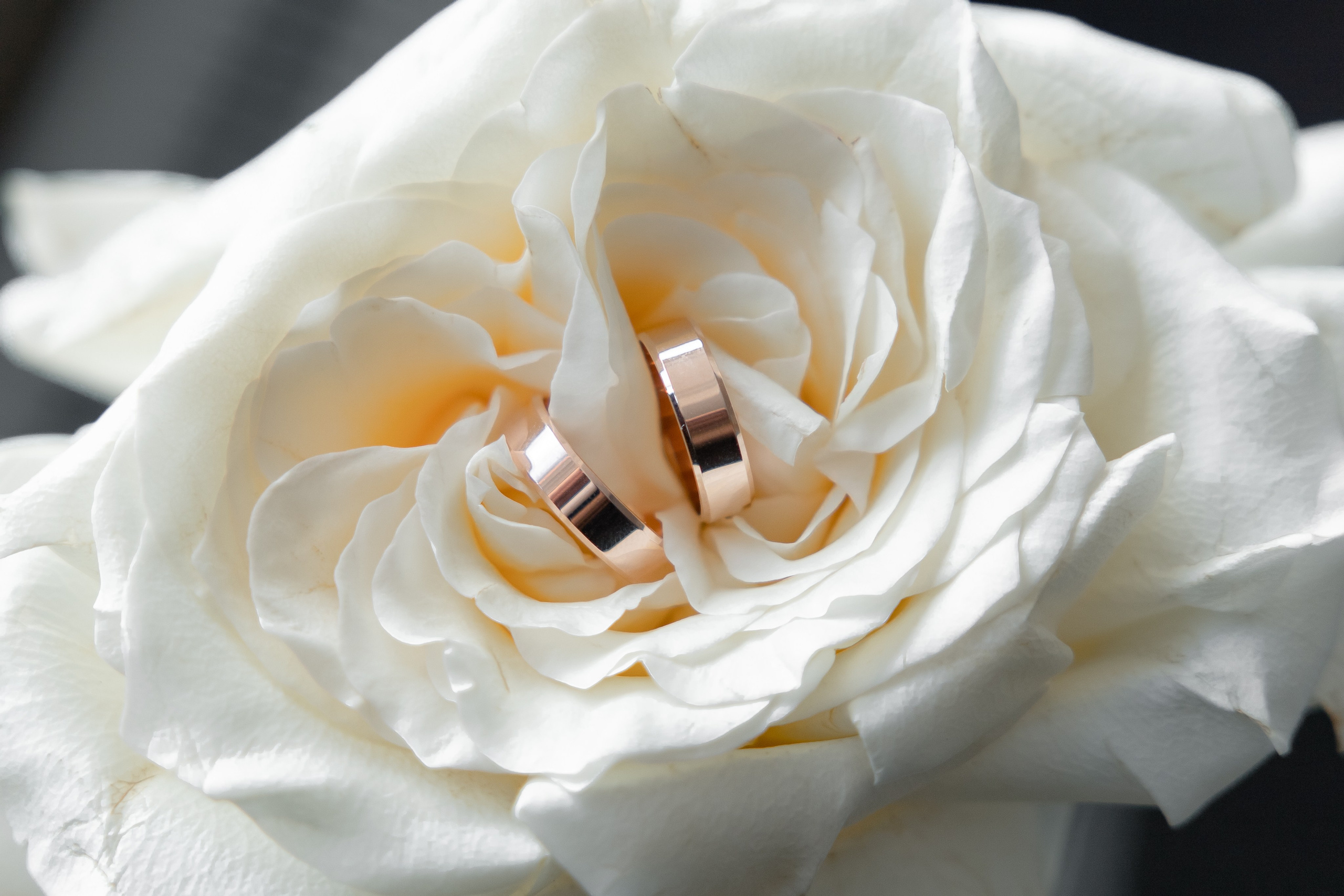 Игорь и Анастасия. Свадебный Фотограф Уфа | Никах