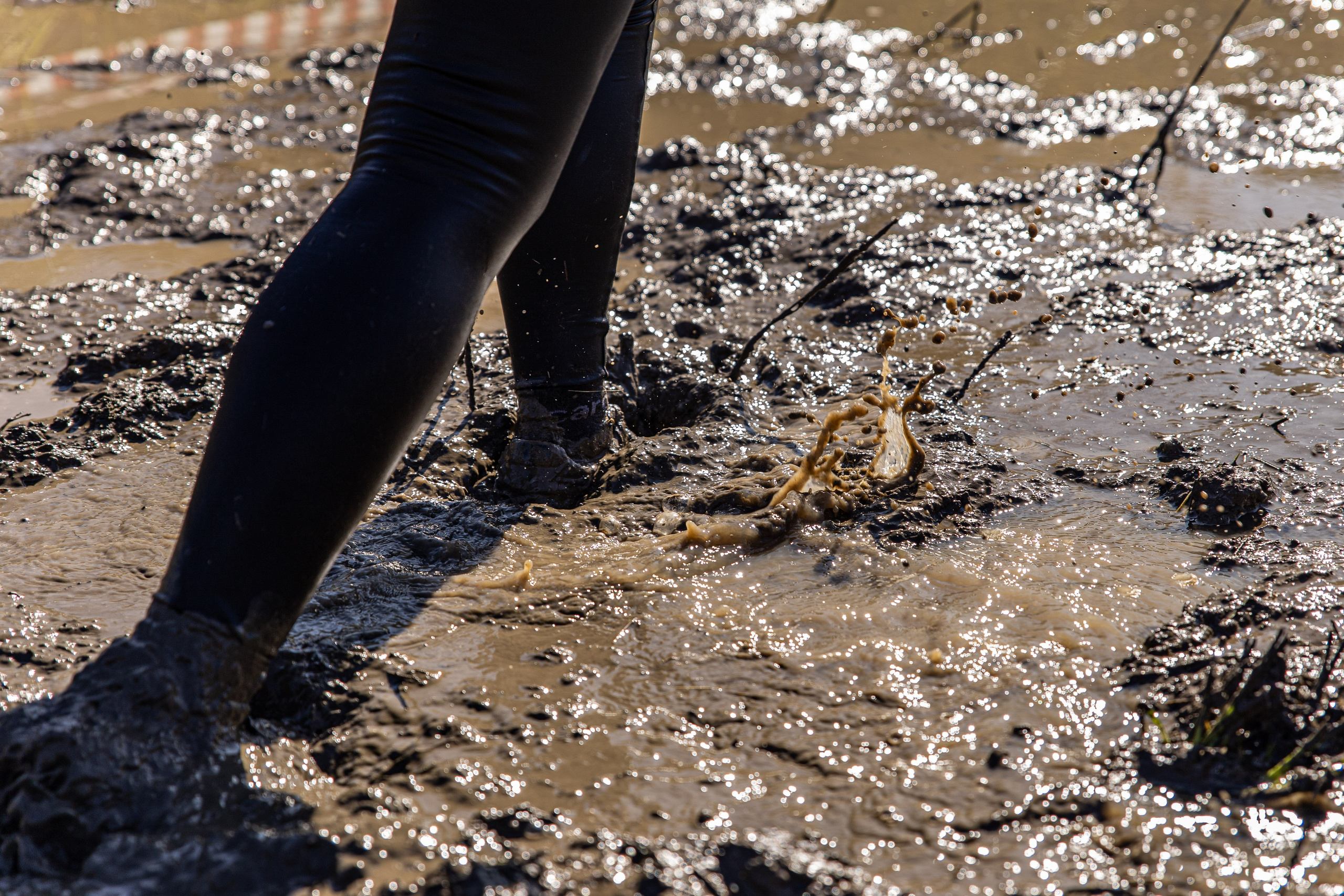 Dogtrail 2023. Уссурийск