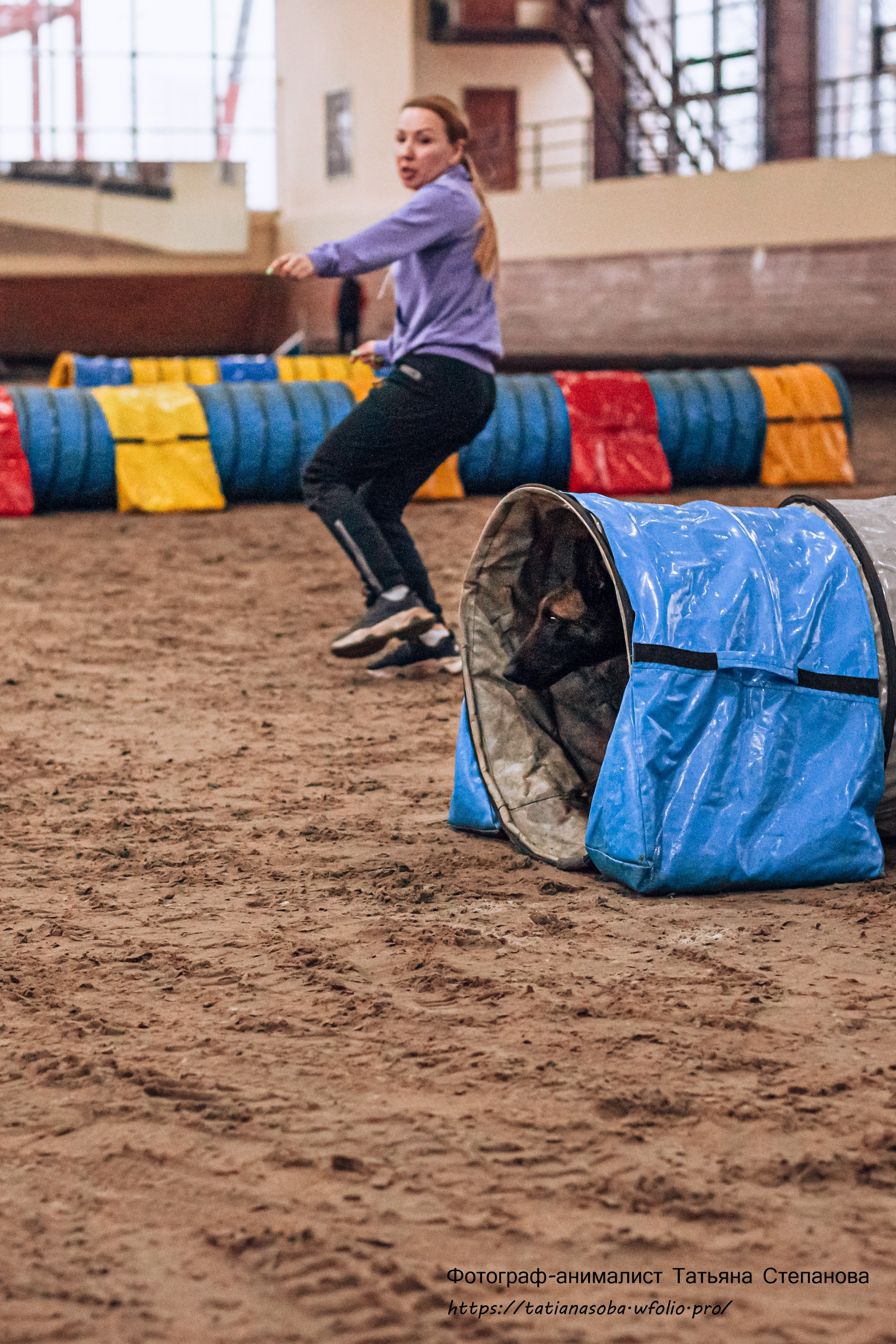 Соревнования по Аджилити 25.02.2024. Фотограф-анималист Татьяна Степанова
