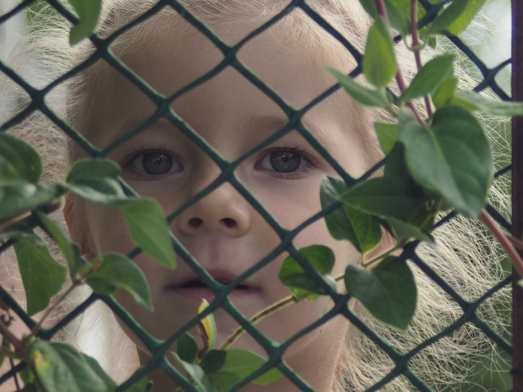 Дети. Смотри, красота!