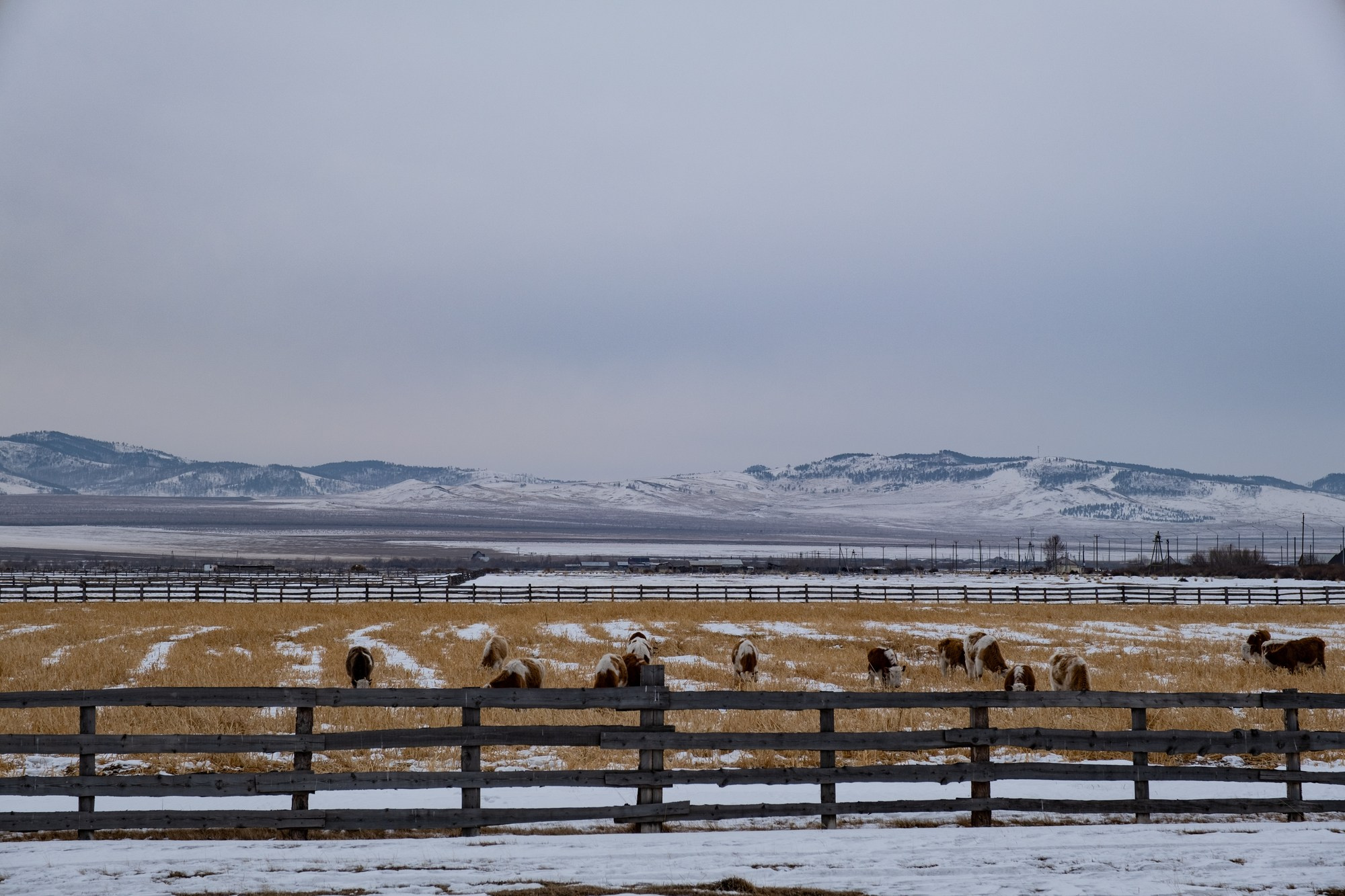 Байкальская Миля. Автоспортивный бренд фотограф в Москве — Виктория Логинова