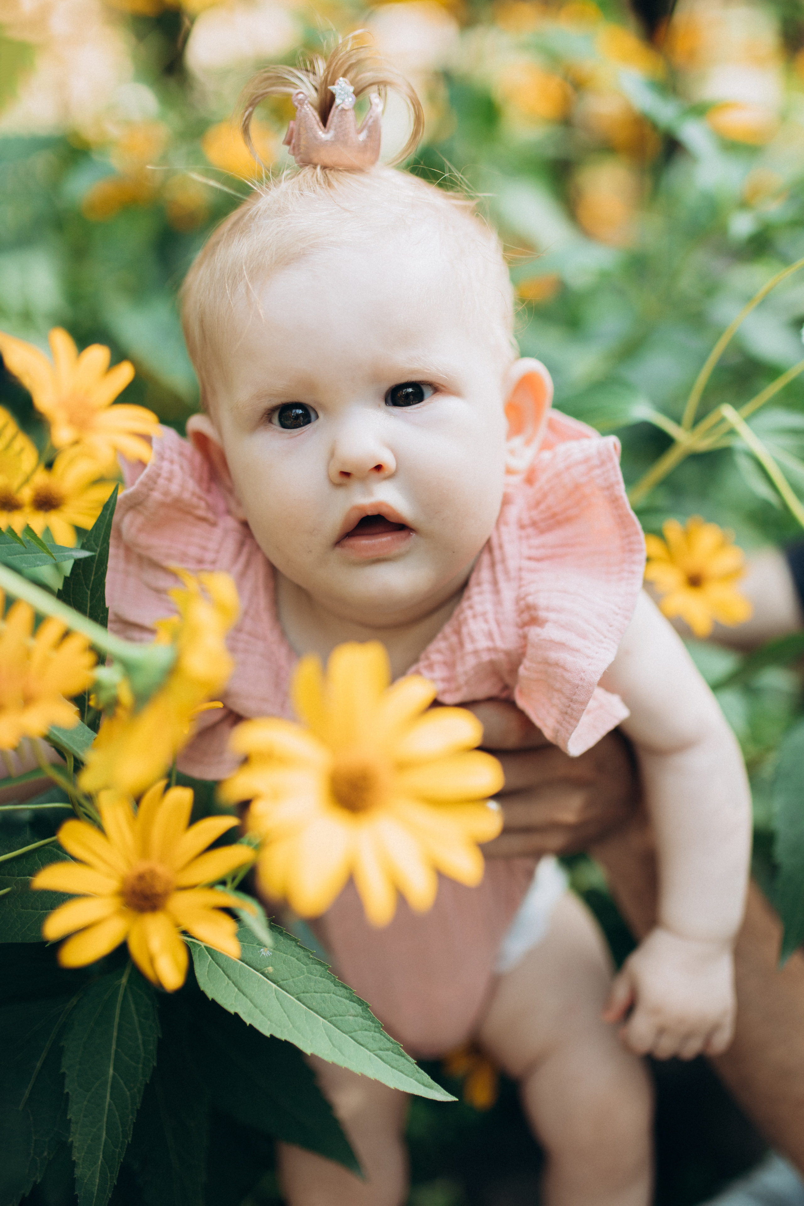 ARINA. Фотограф новорожденных в городе Ульяновске Павленкова Лилия
