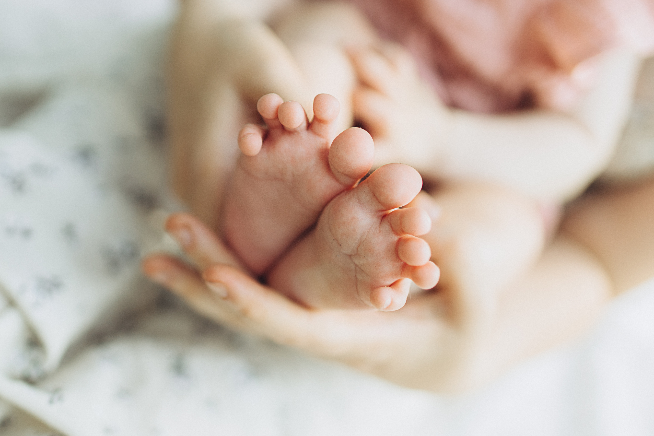 ARINA. Фотограф новорожденных в городе Ульяновске Павленкова Лилия