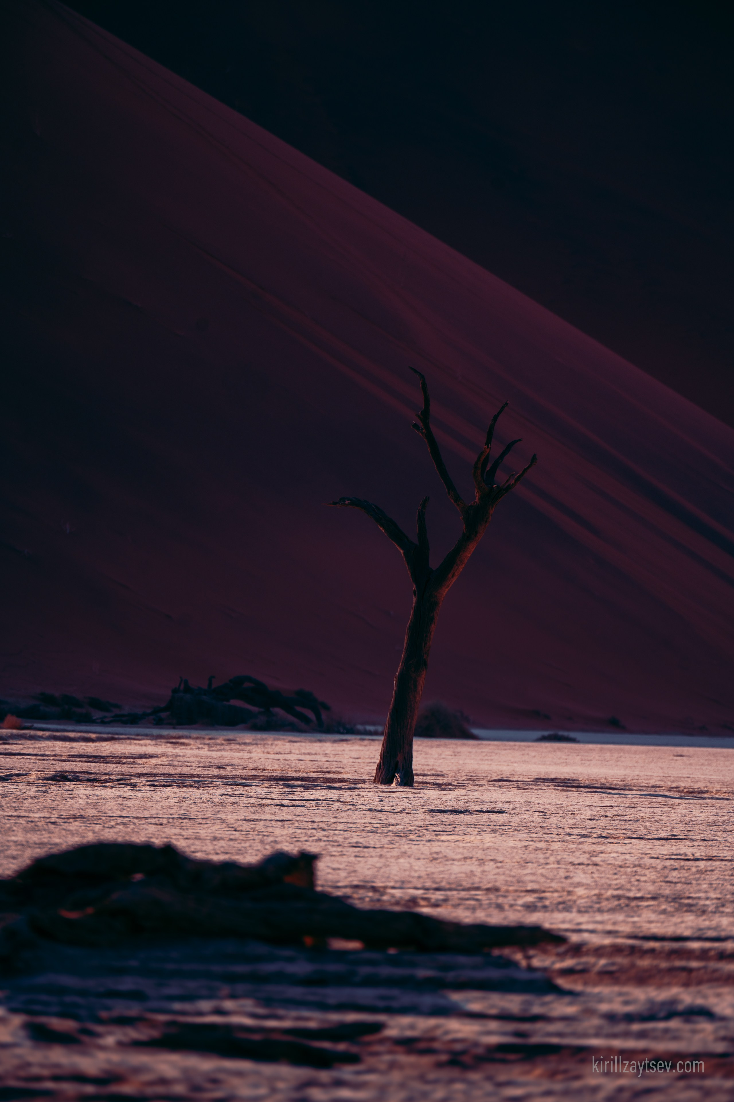 Жизнь. Профессиональный фотограф Кирилл Зайцев