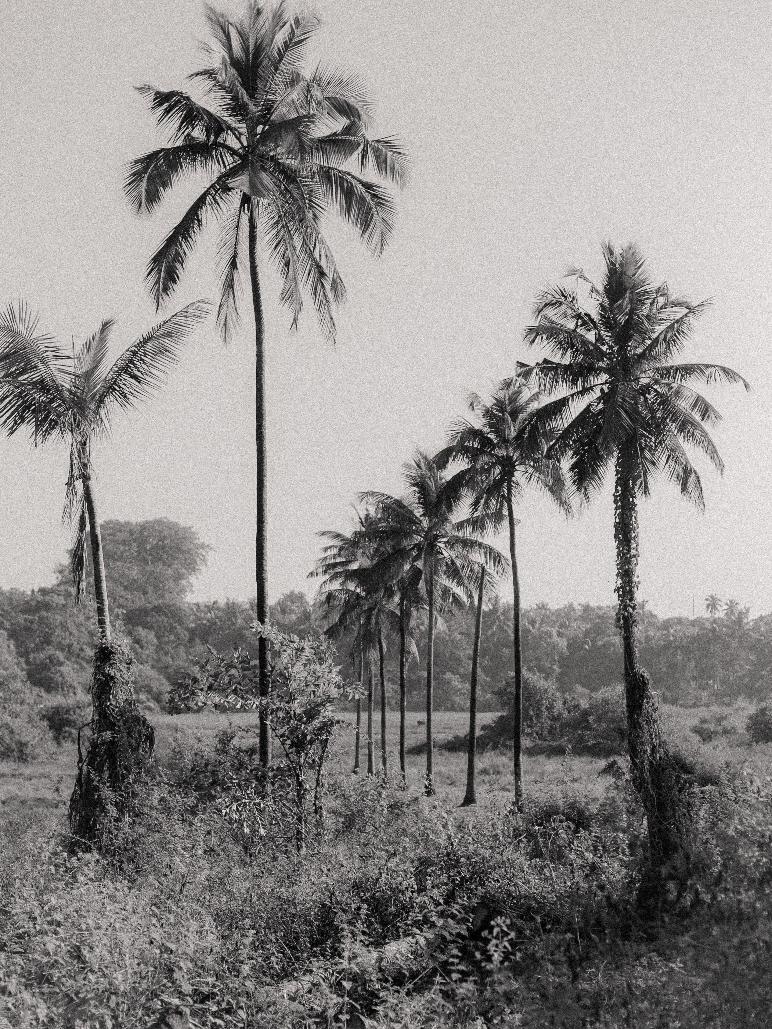 Оля и Таня. Портретный и fashion фотограф в Москве — Елена Якушина