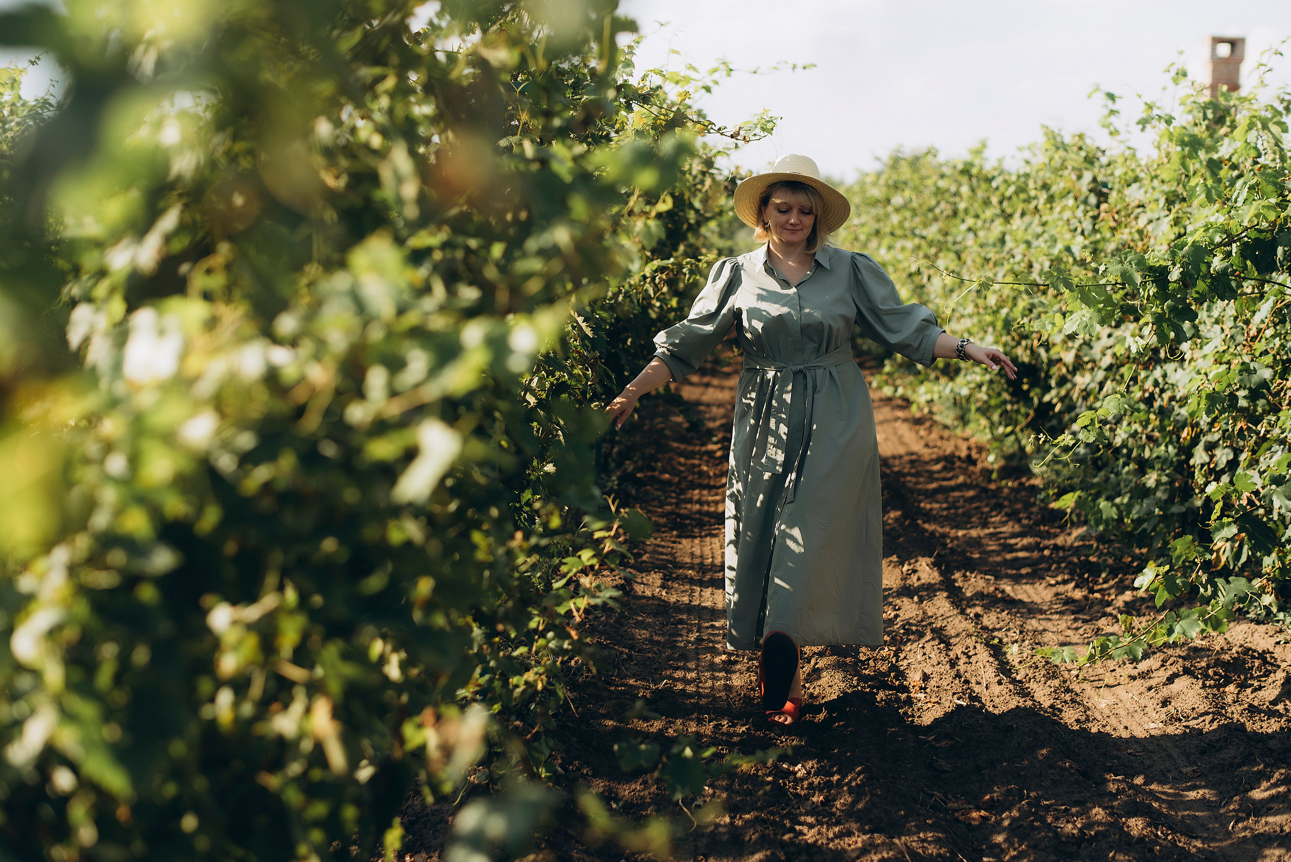 На винодельне. Свадебный фотограф Ростов-на-Дону от 4 400 руб. |Кристина Гайсенюк