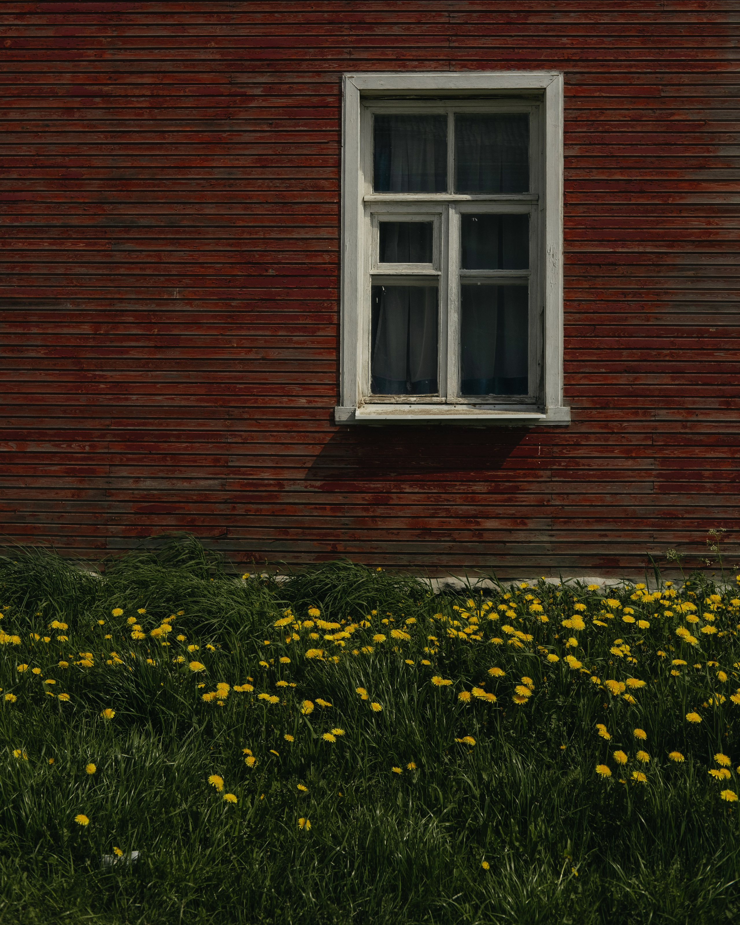 Карелия и Соловецкие острова. Обо мне