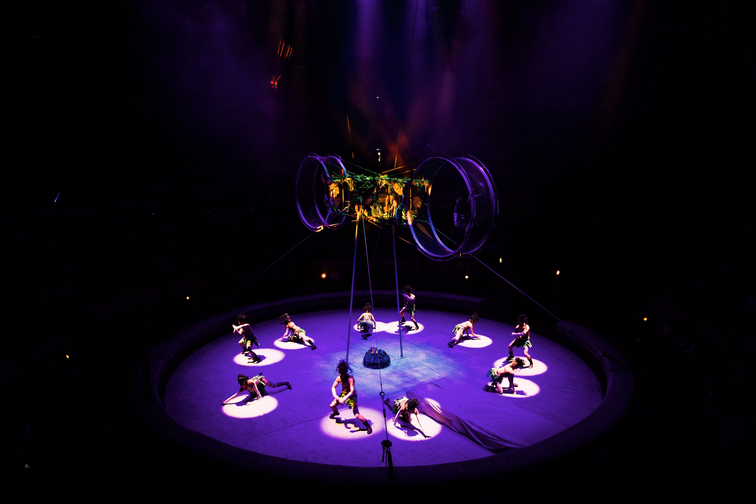 Цирк. Анна Жукова — Режиссёр кино и цирка, сценарист, фотограф