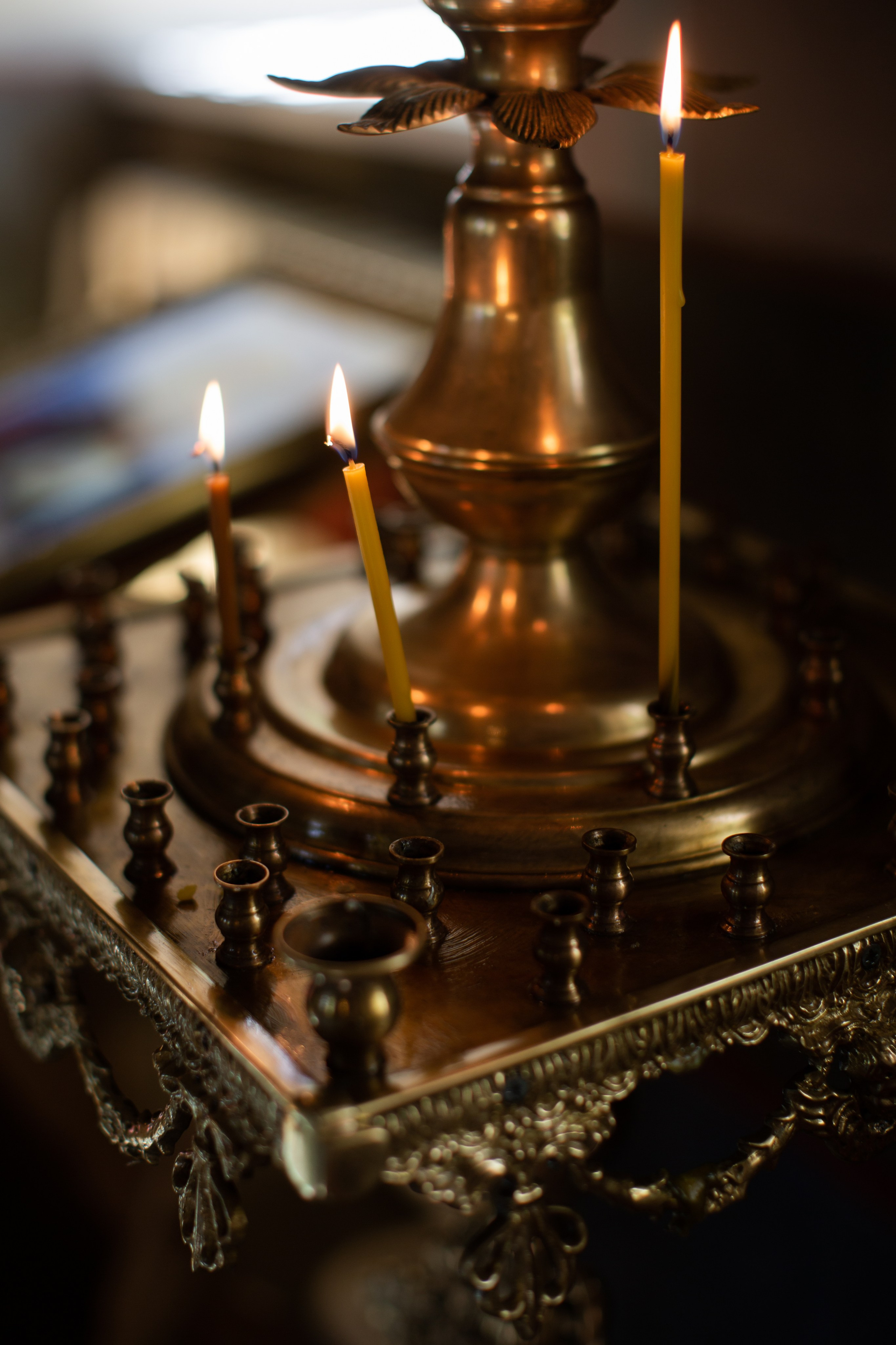 15/05/23. Фотограф НатаФото (Наталья Яковенко) Дмитров Москва Питер