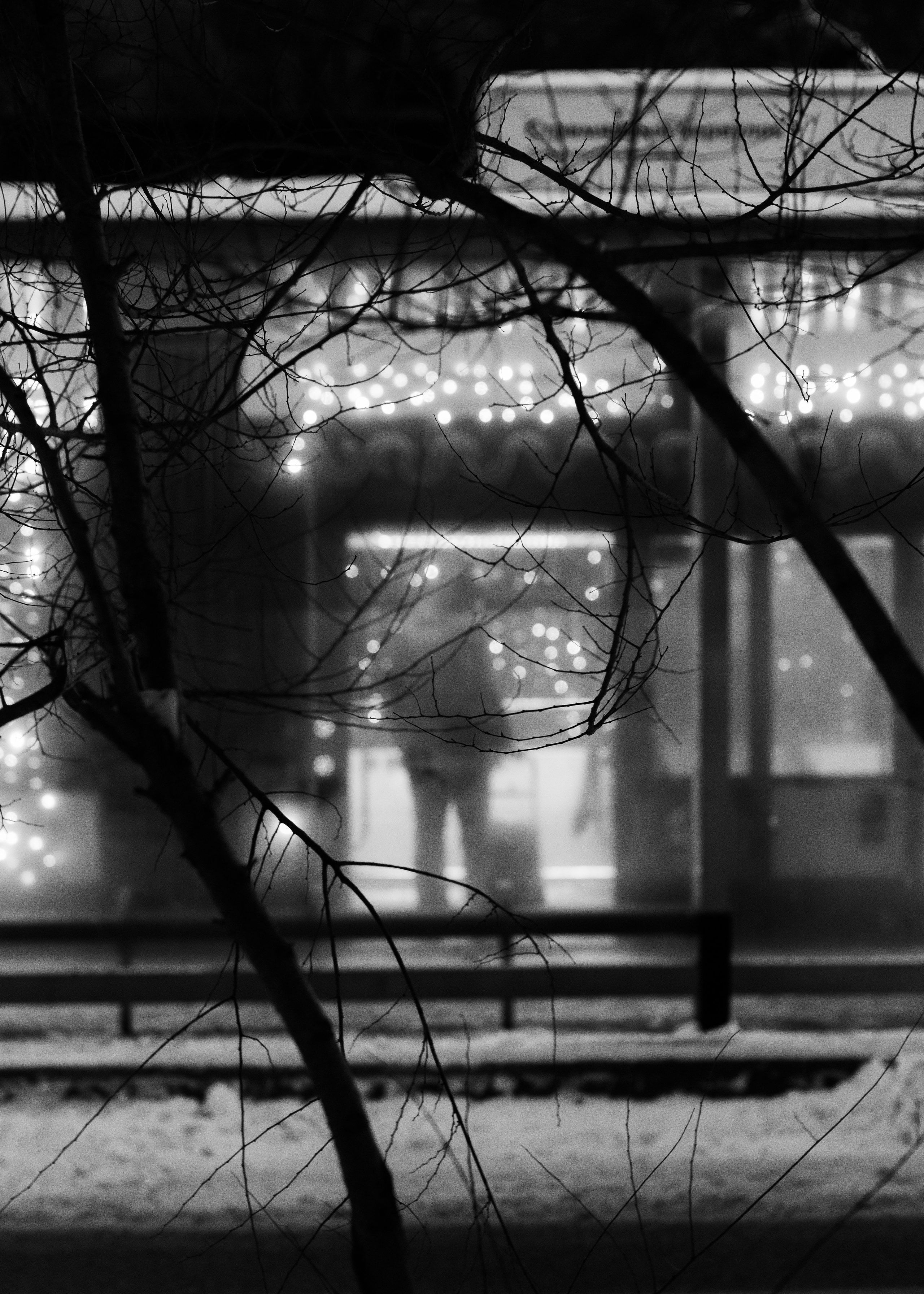 Моменты. Фотограф Сергей Епифанов