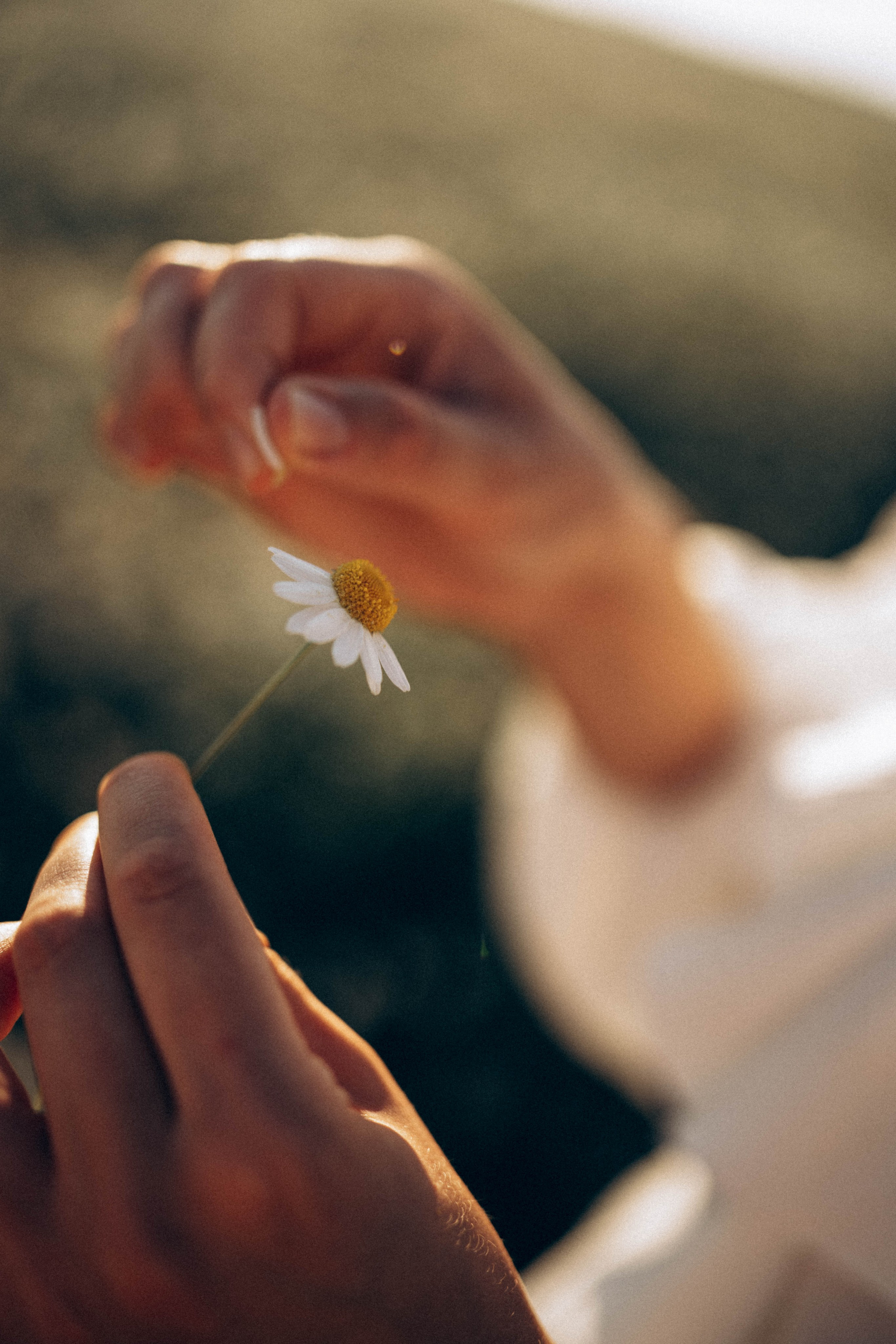 Семья ♥. Свадебный и семейный фотограф в Перми Дарья Алекс