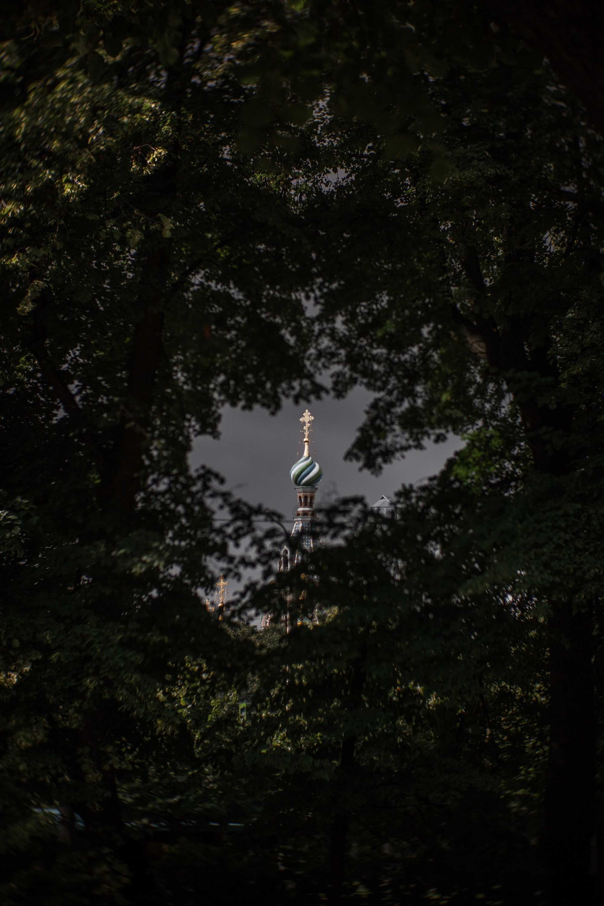 «Летний сад- моими глазами…». Туманов Виталий — фотограф Москва