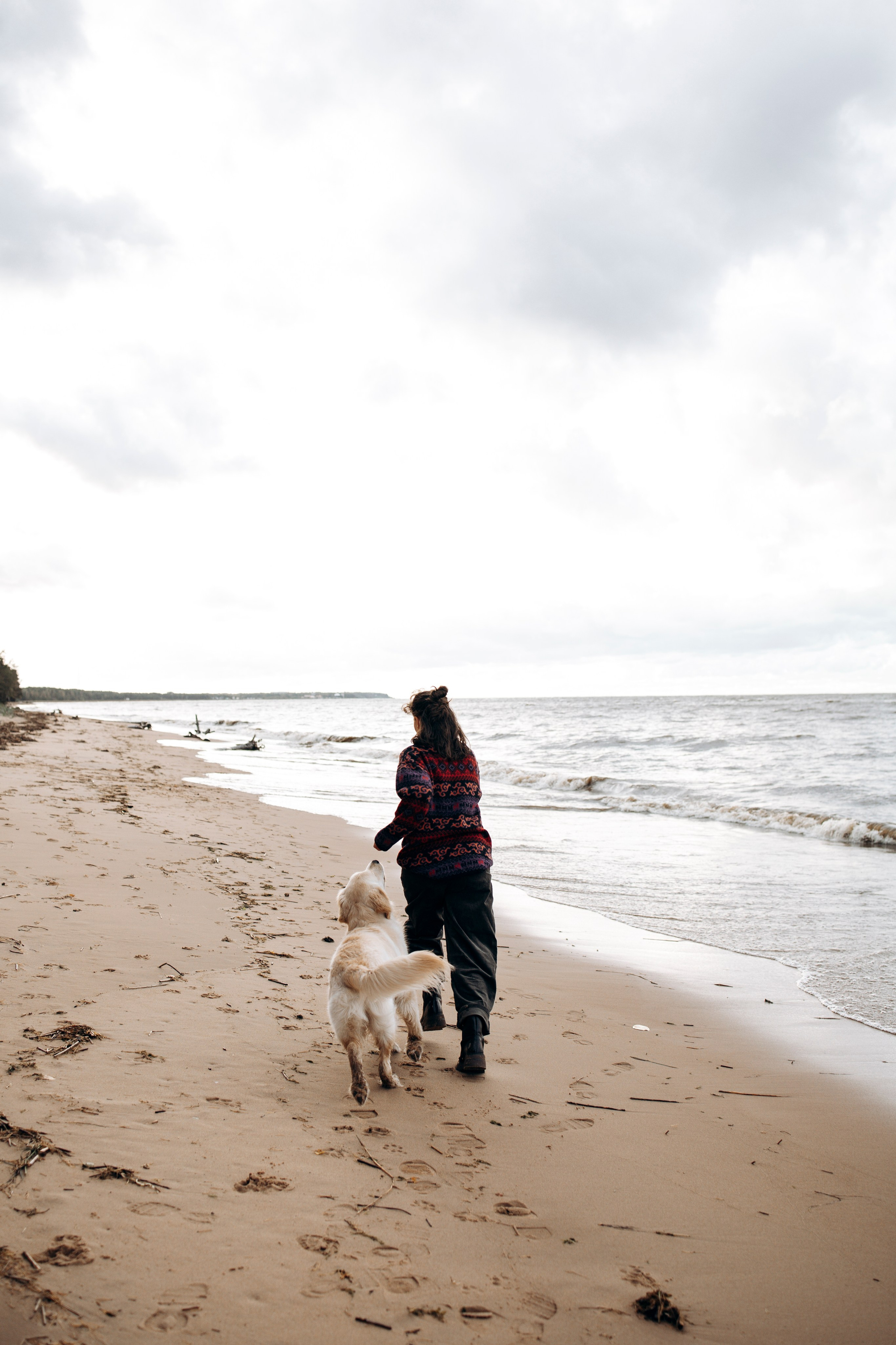 Прогулка Насти с Арчи и Арагоном. Фотограф-анималист в Санкт-Петеребурге Титова Алиса