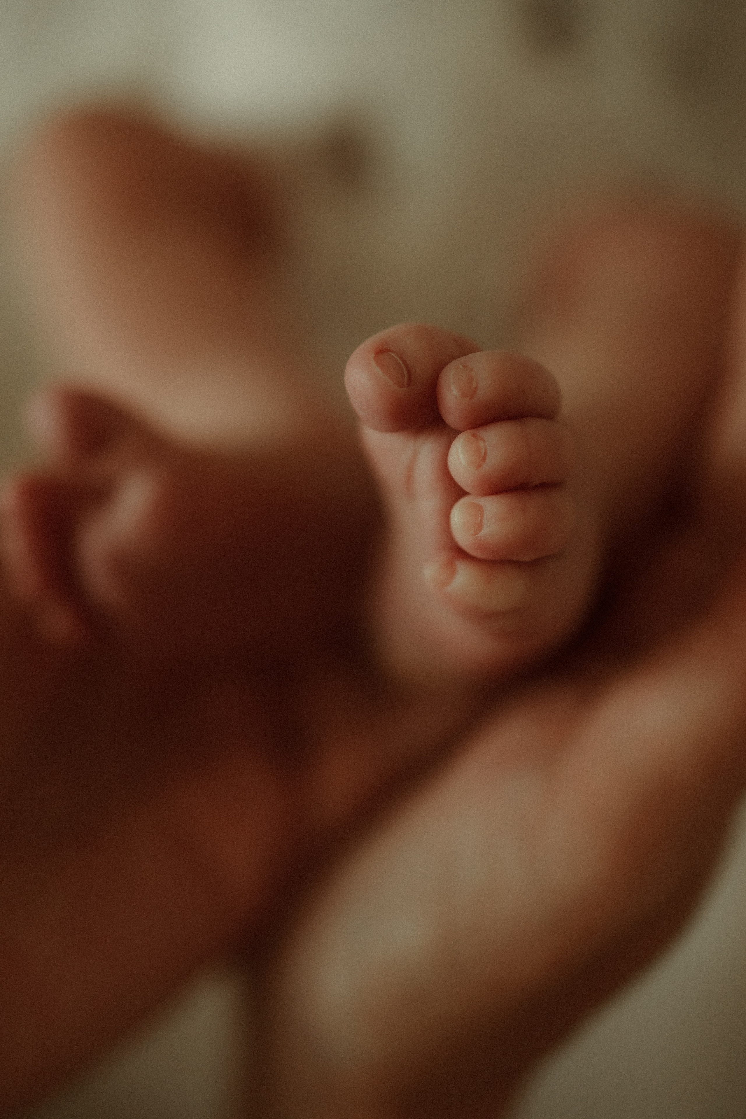 Семейный фотограф, фотограф новорожденных в Москве, Анастасия Федяева