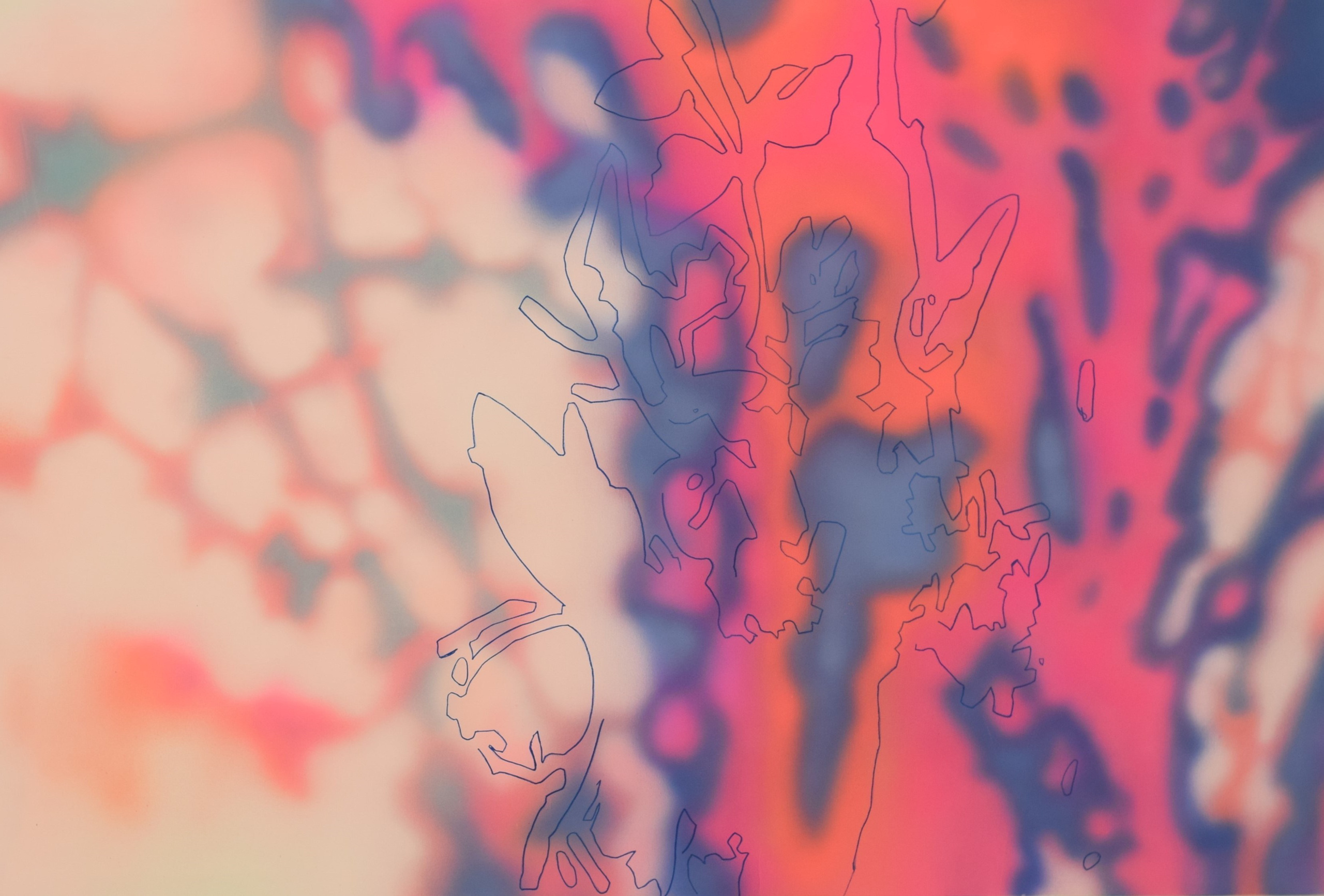 СКРЫТЫЙ ОБРАЗ ЛЕСА