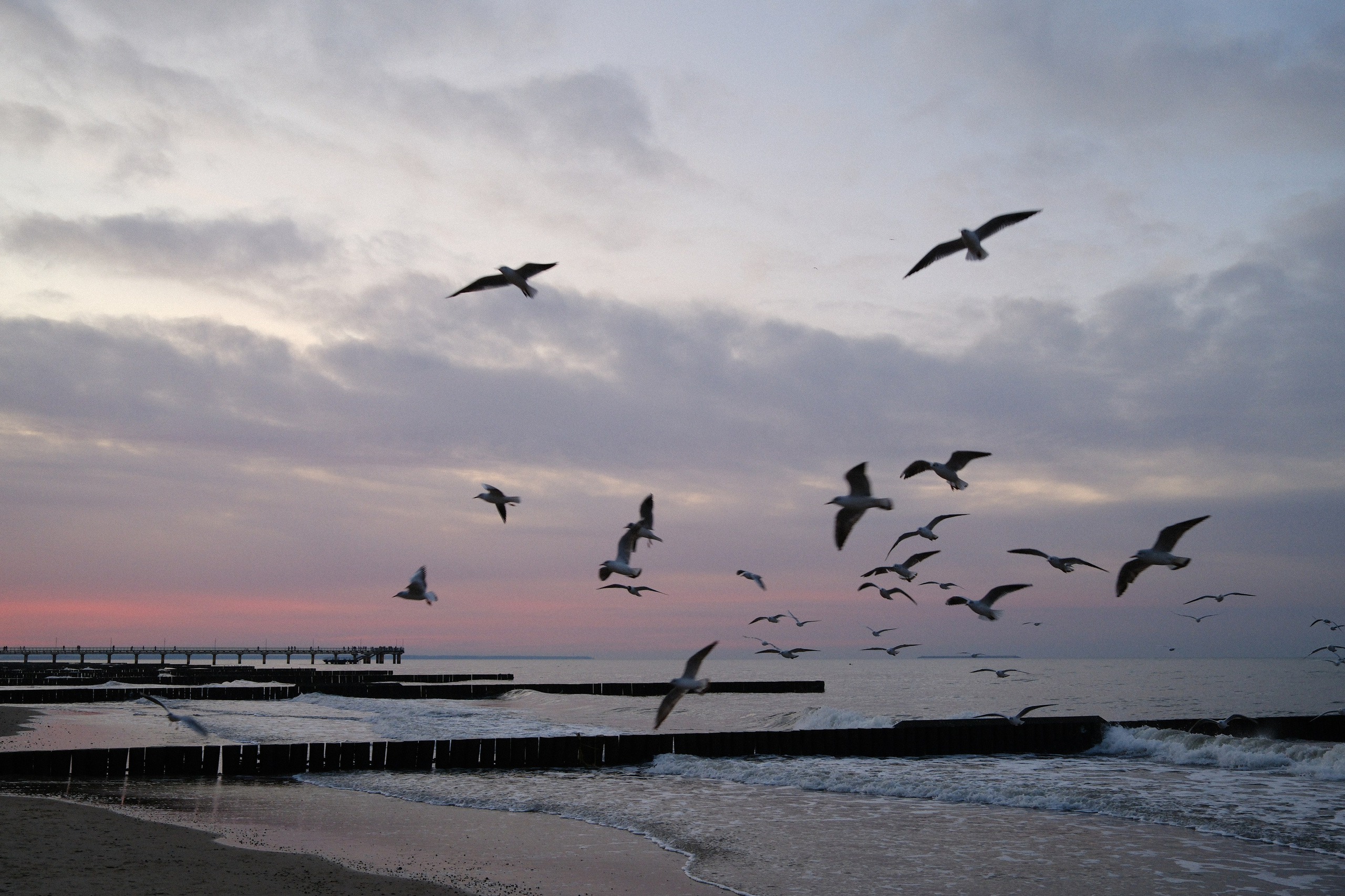 Зеленоградск. Калининградская область. Алексей Торопов фотограф