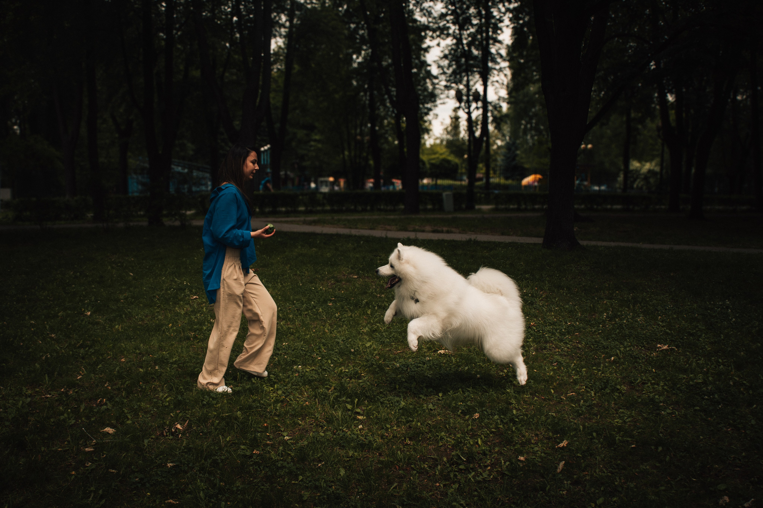 Прогулочная фотосессия девушки в парке с собакой самоедом. Фотограф-анималист в Москве Екатерина Тихонова