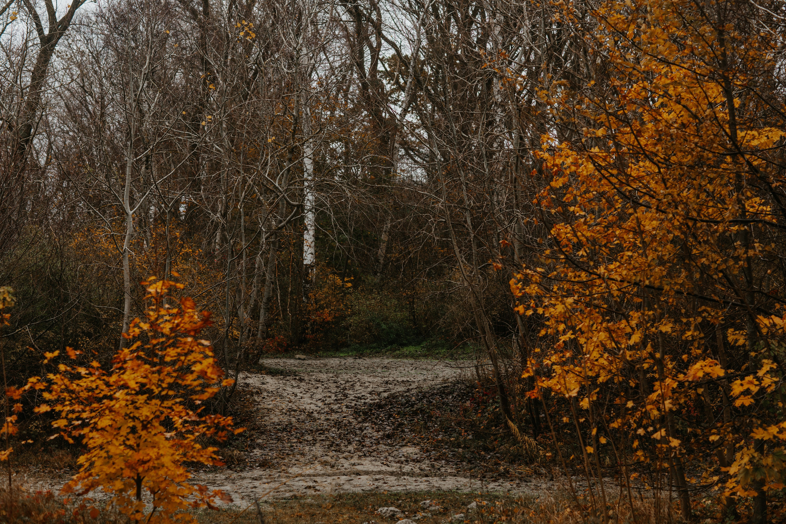 Фотосессия в Балтийске. Https://malovafoto.ru