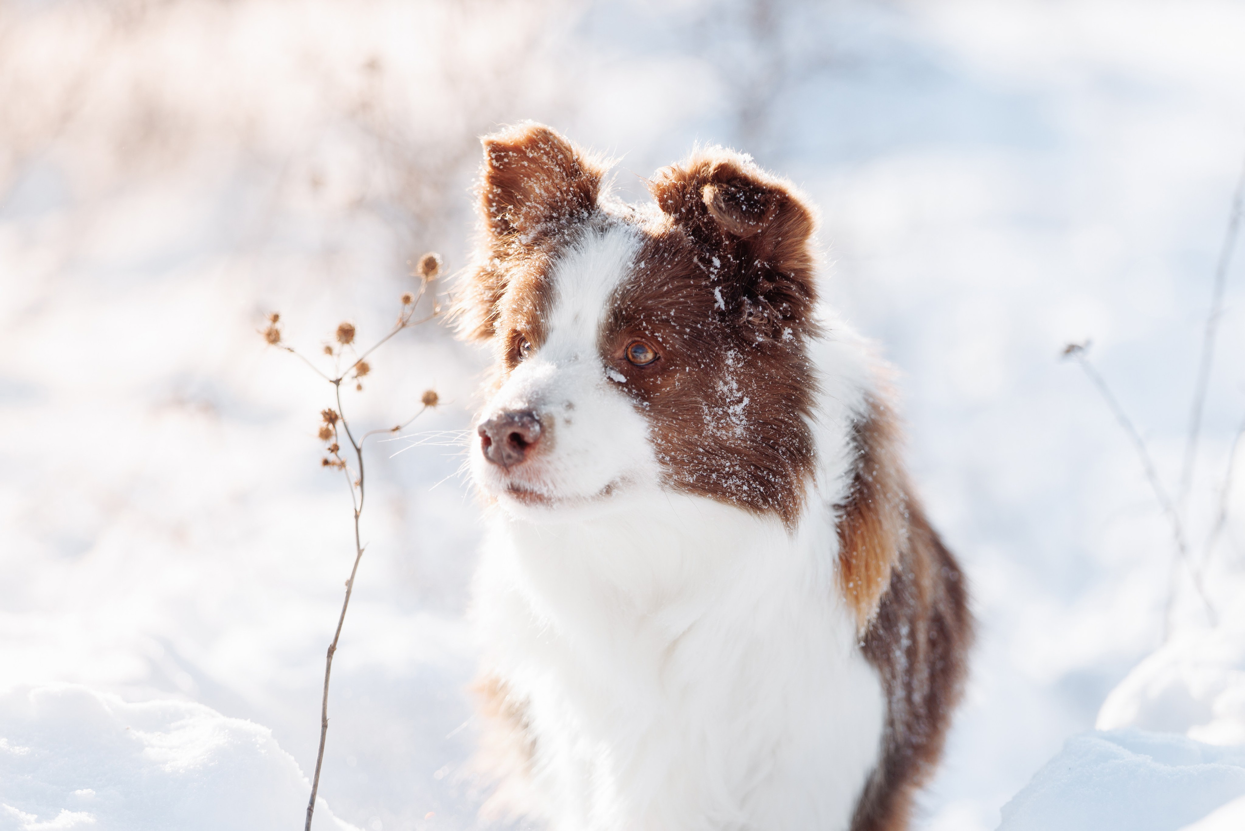 Яркий январь. О нас