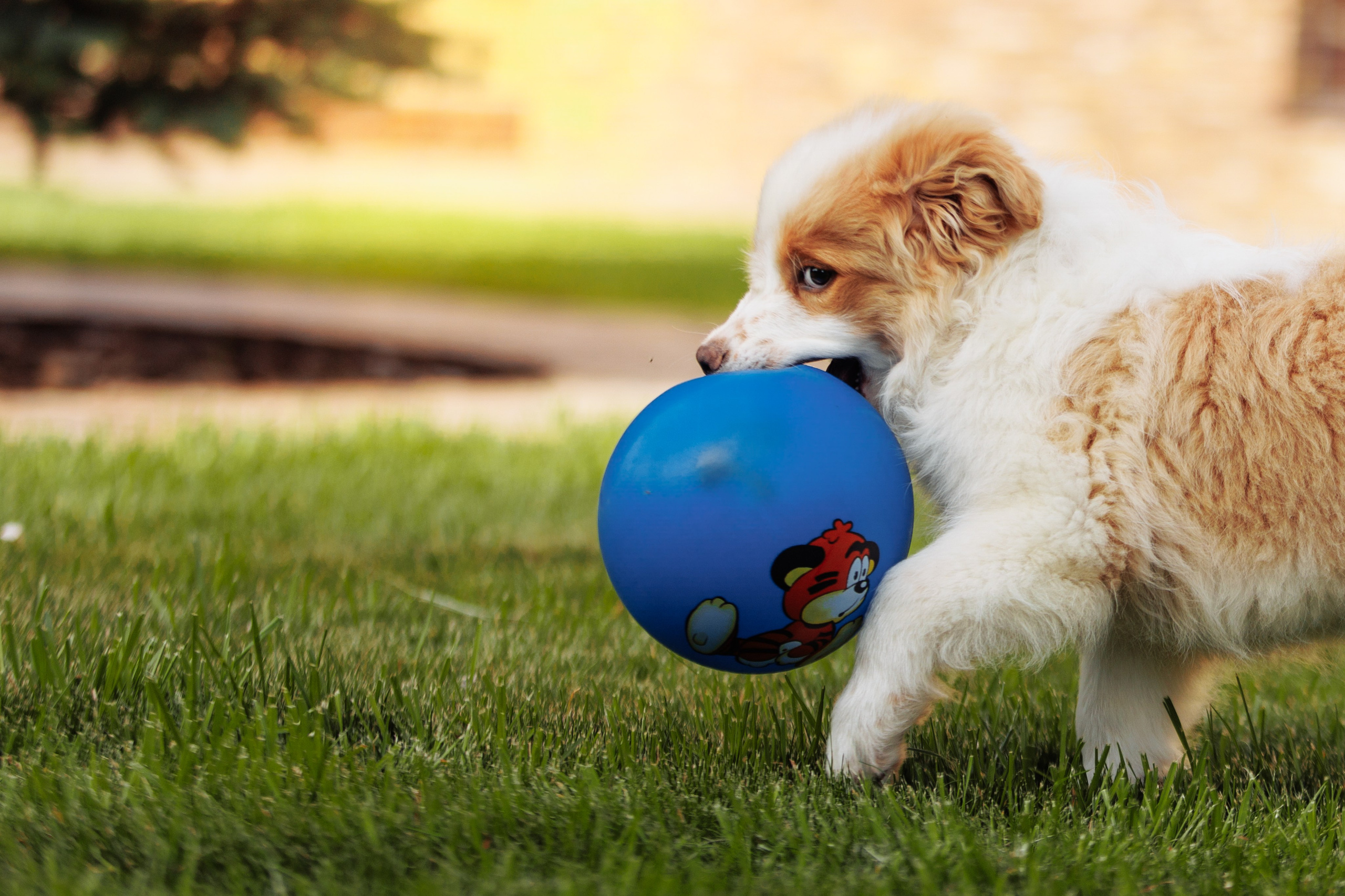 СОлнечные. О нас