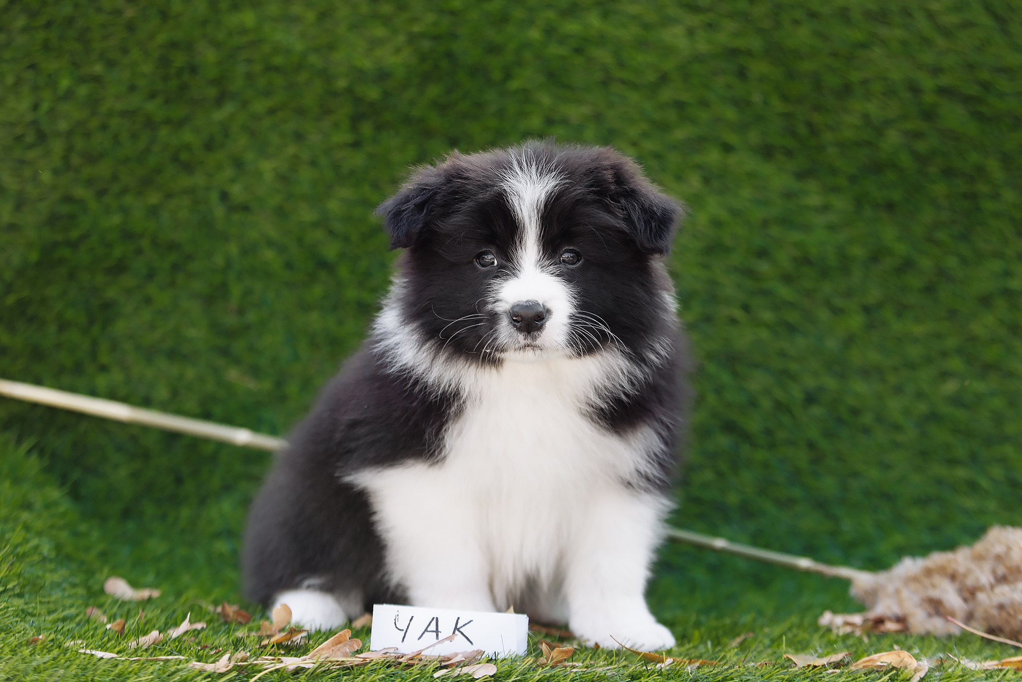 Новый лист. О нас