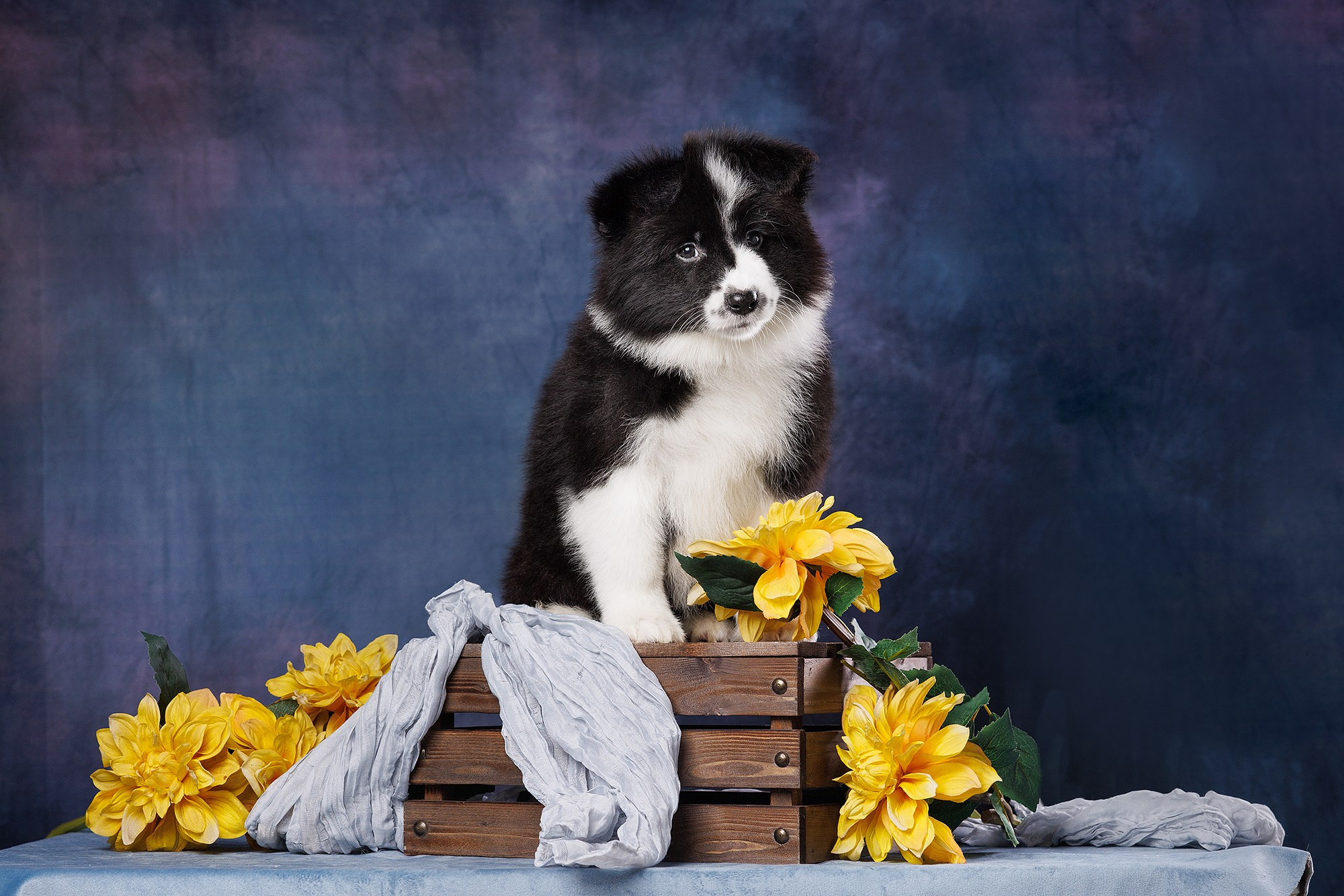 На водной основе. О нас