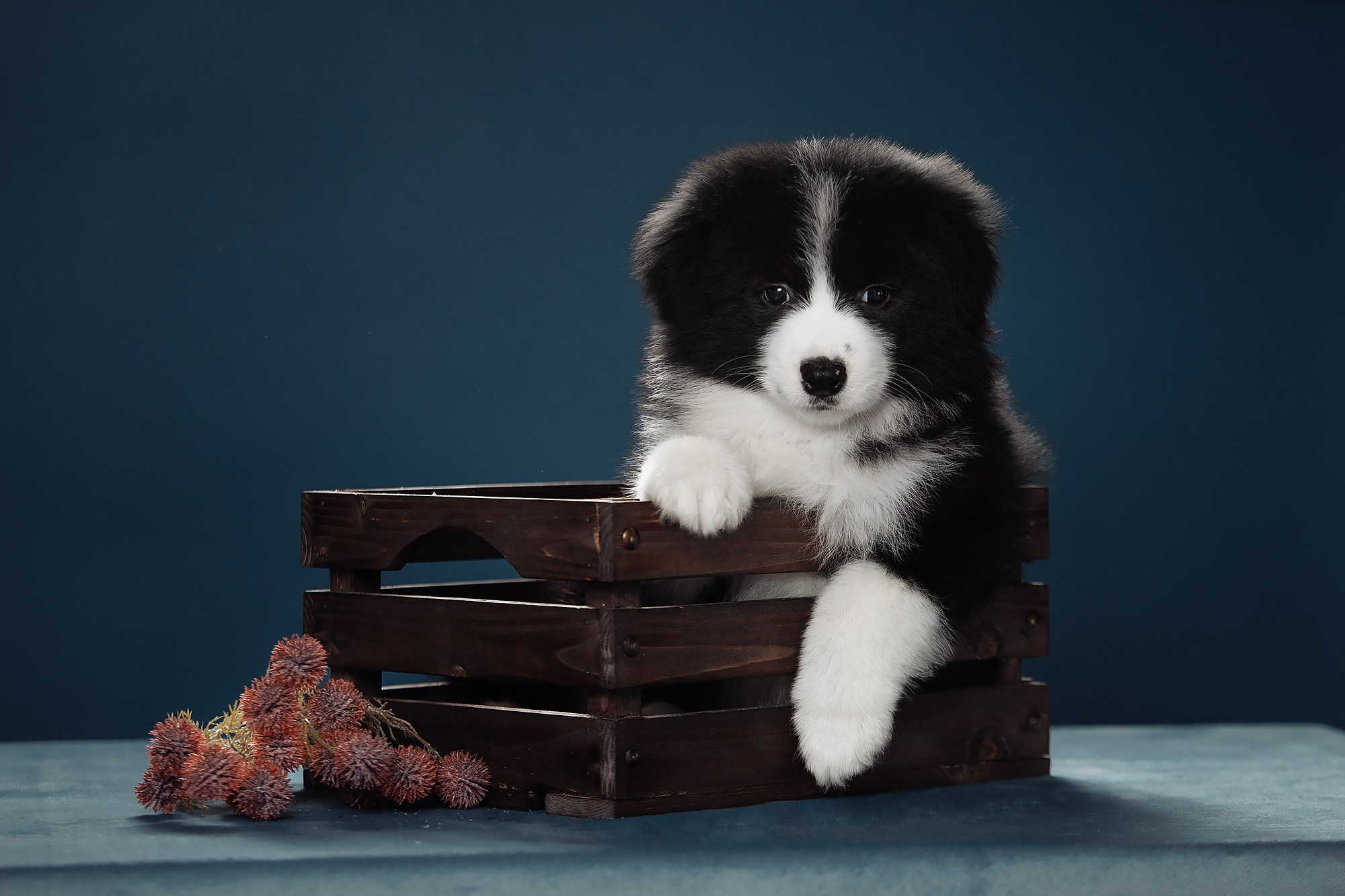 Синева. О нас