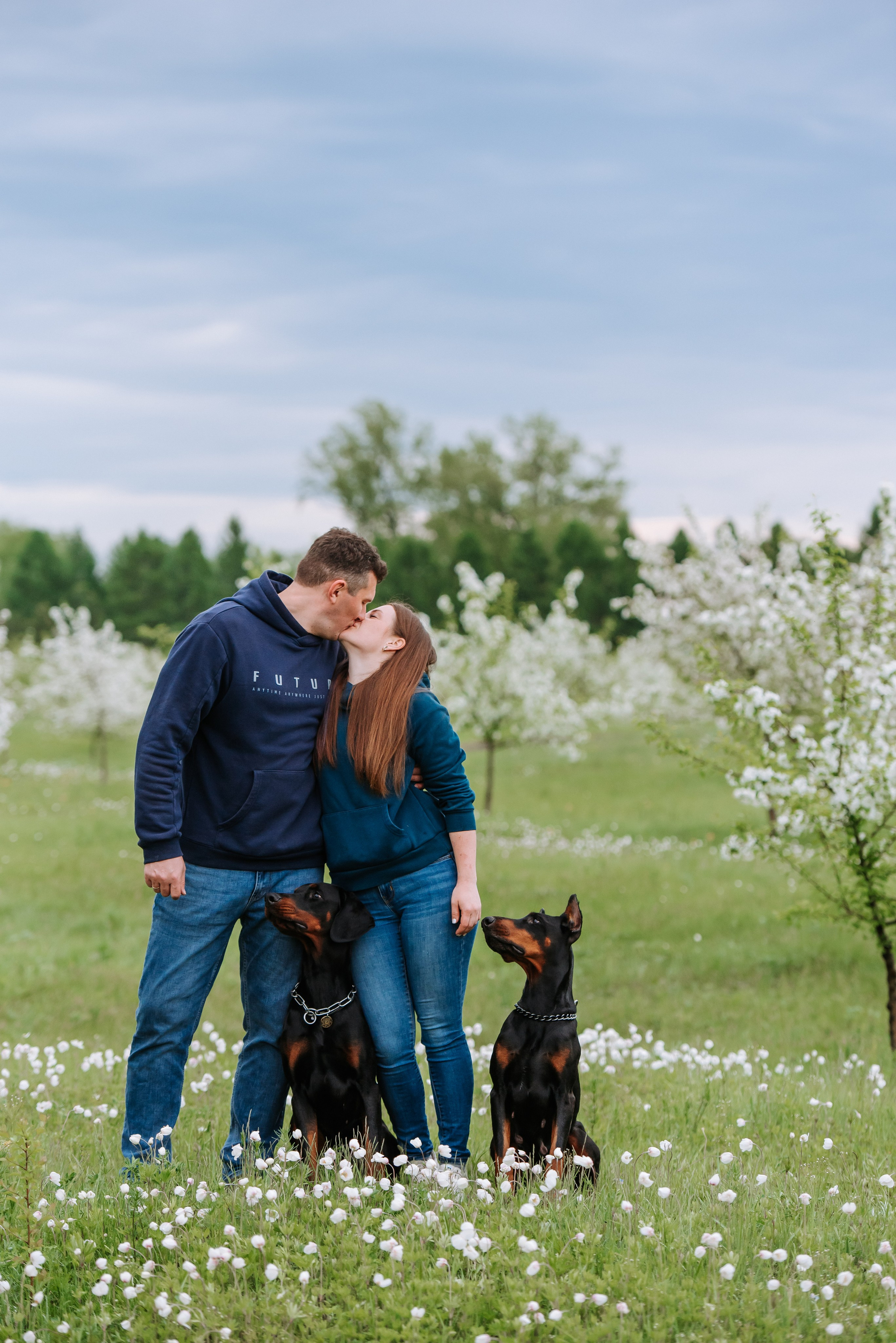 Цветение с доберманами. Фотограф Диана Оленина Красноярск / Братск
