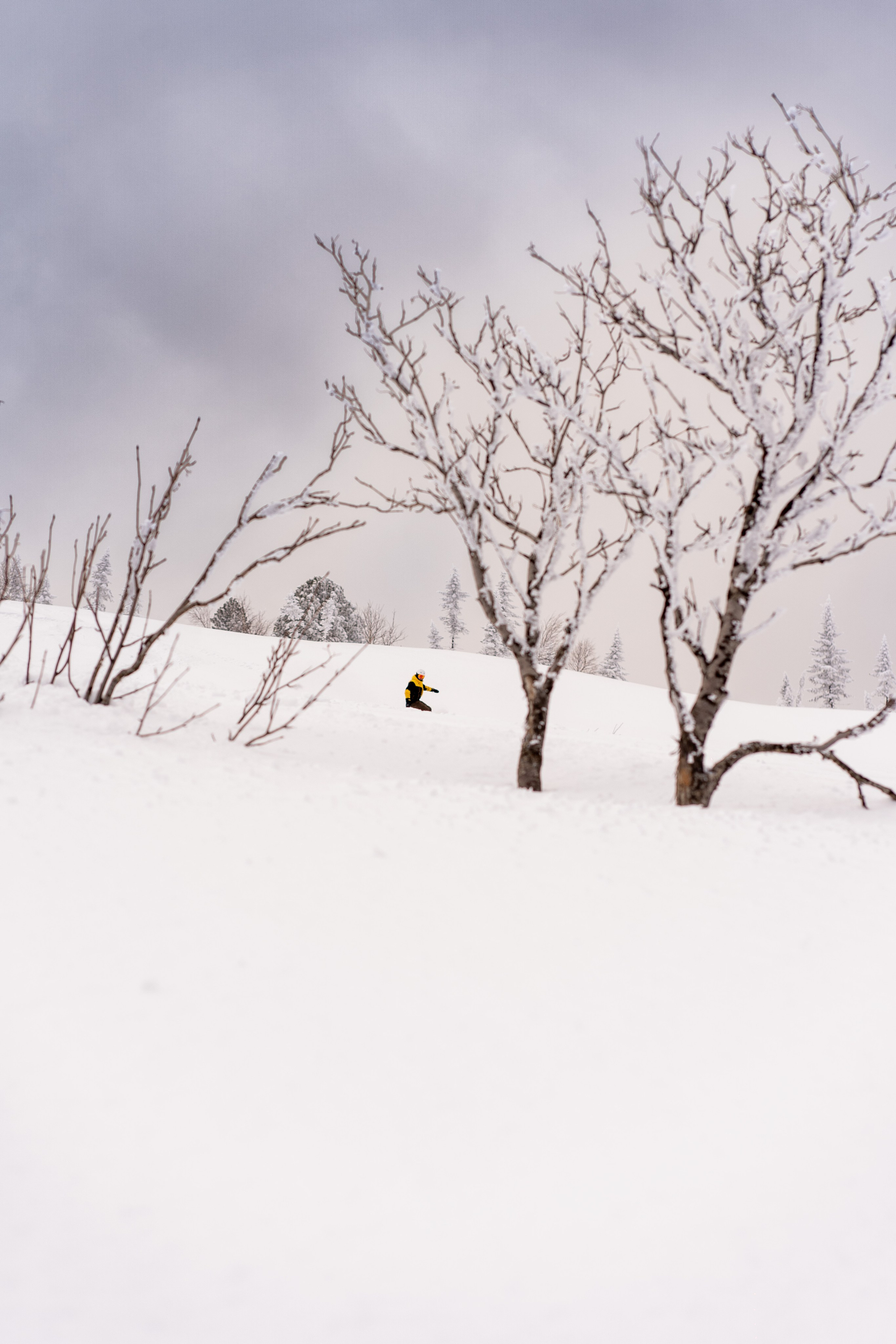 Фрирайд. Анастасия Паршукова — фотограф Шерегеш Новосибирск