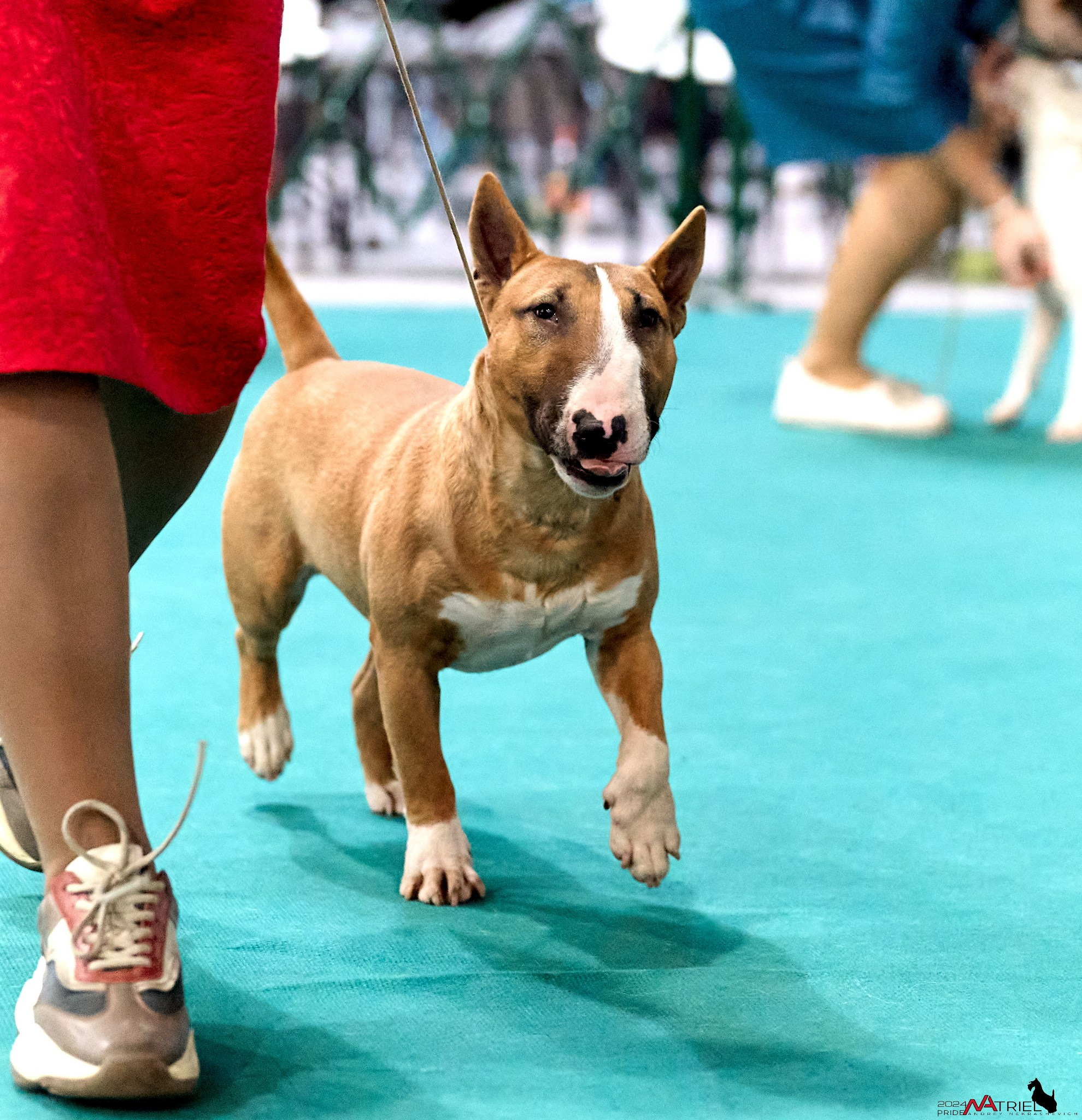 Съемка на выставке в Крокусе