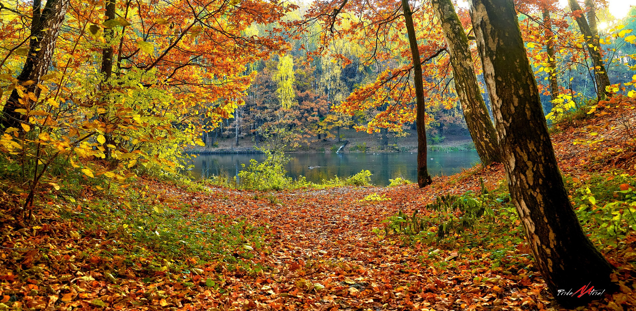 Пейзаж — галерея NATRIEL