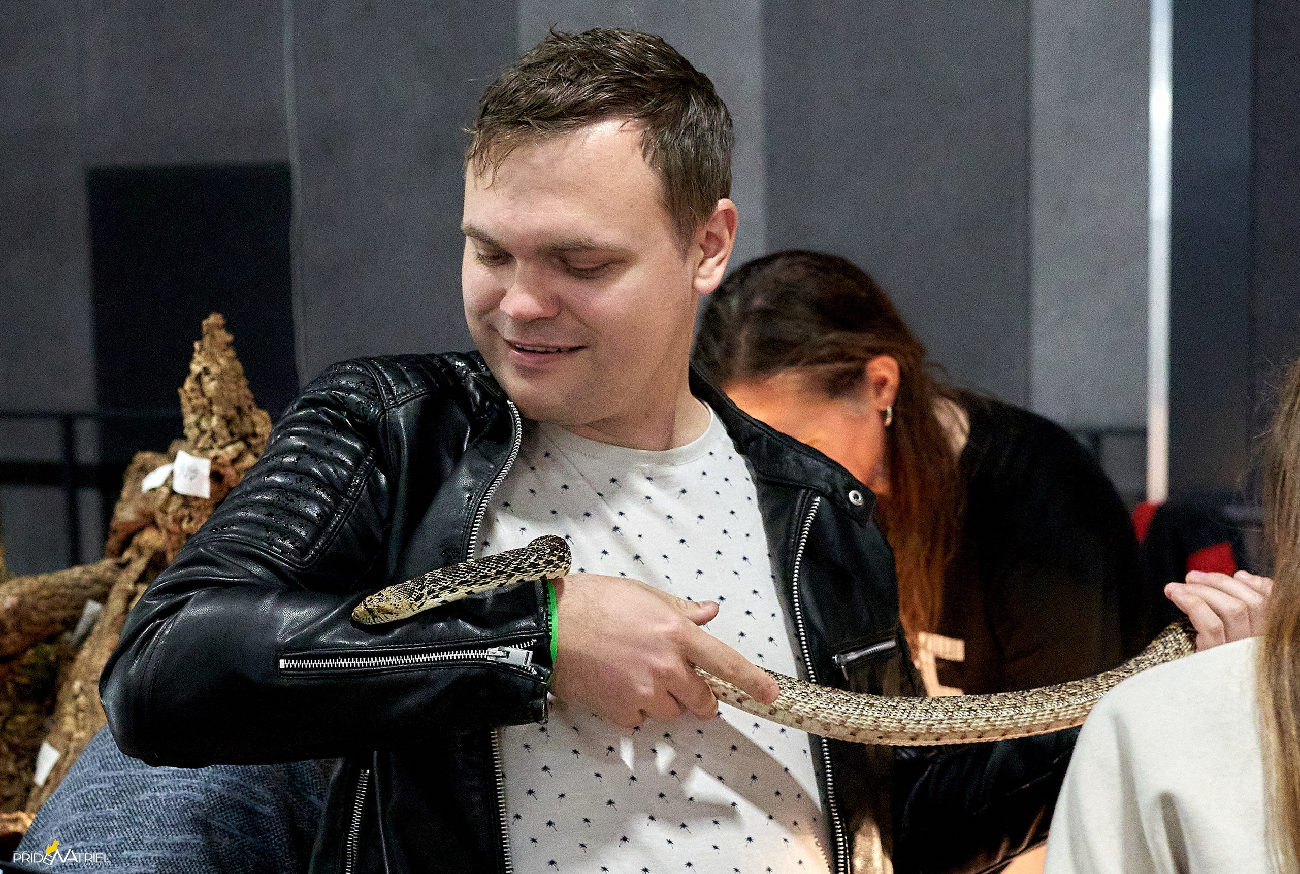 Выставки животных — галерея NATRIEL