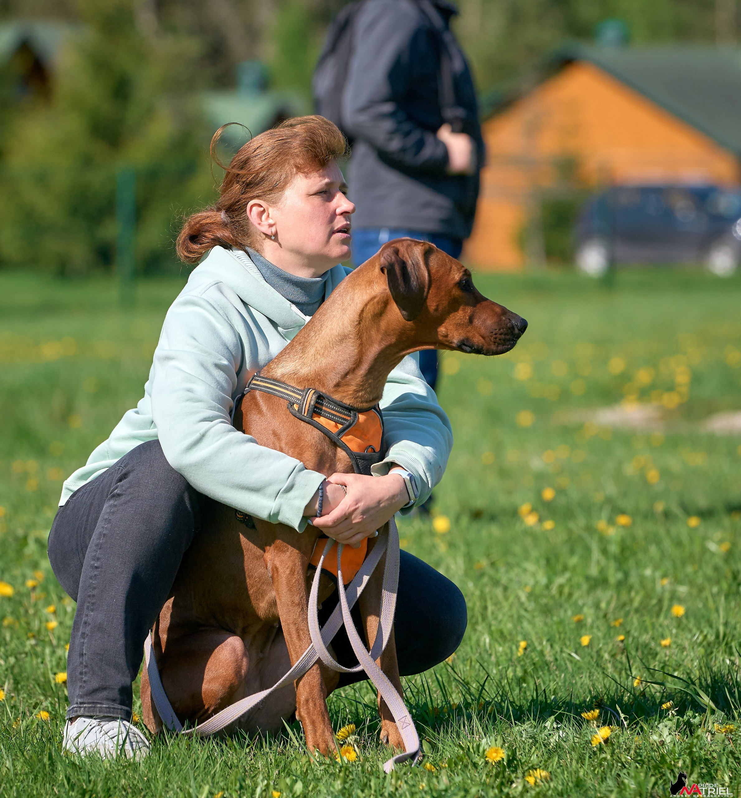 Съемка курсинг — галерея NATRIEL