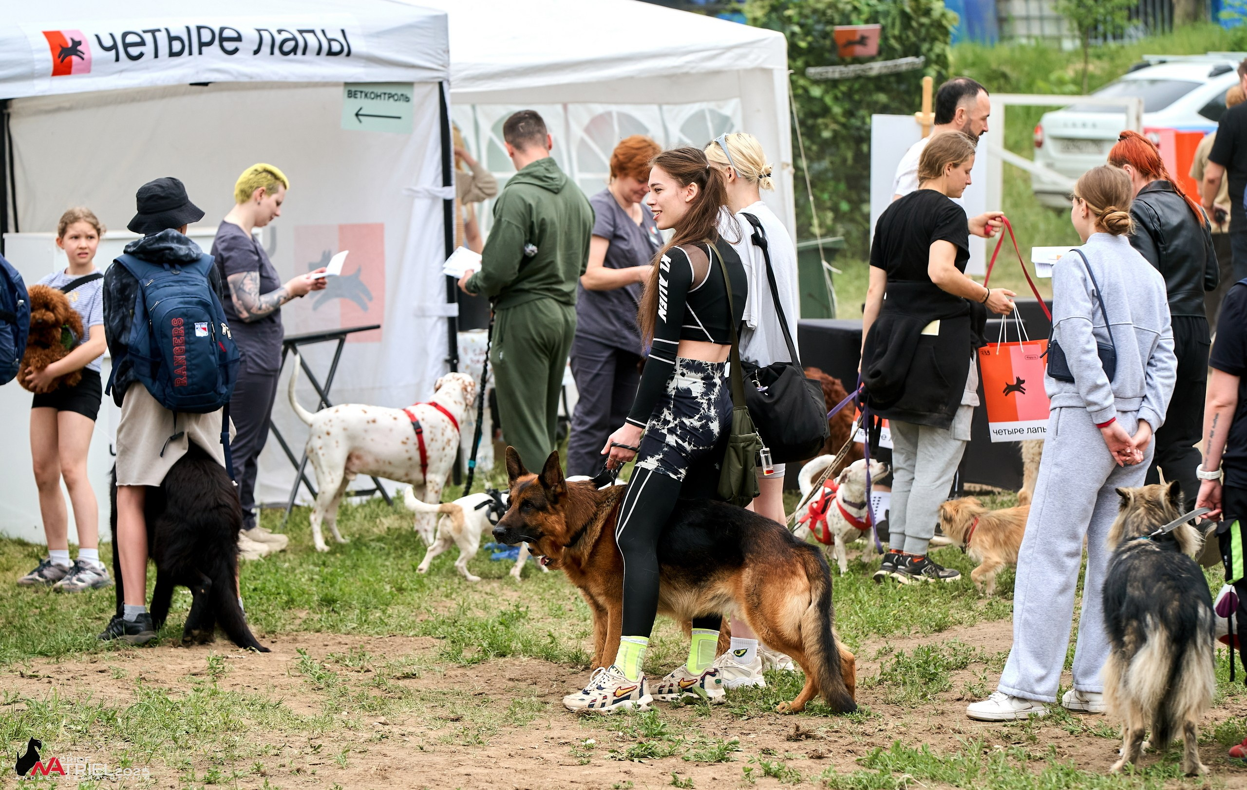 Russian Extreme Dog Trail — 2025