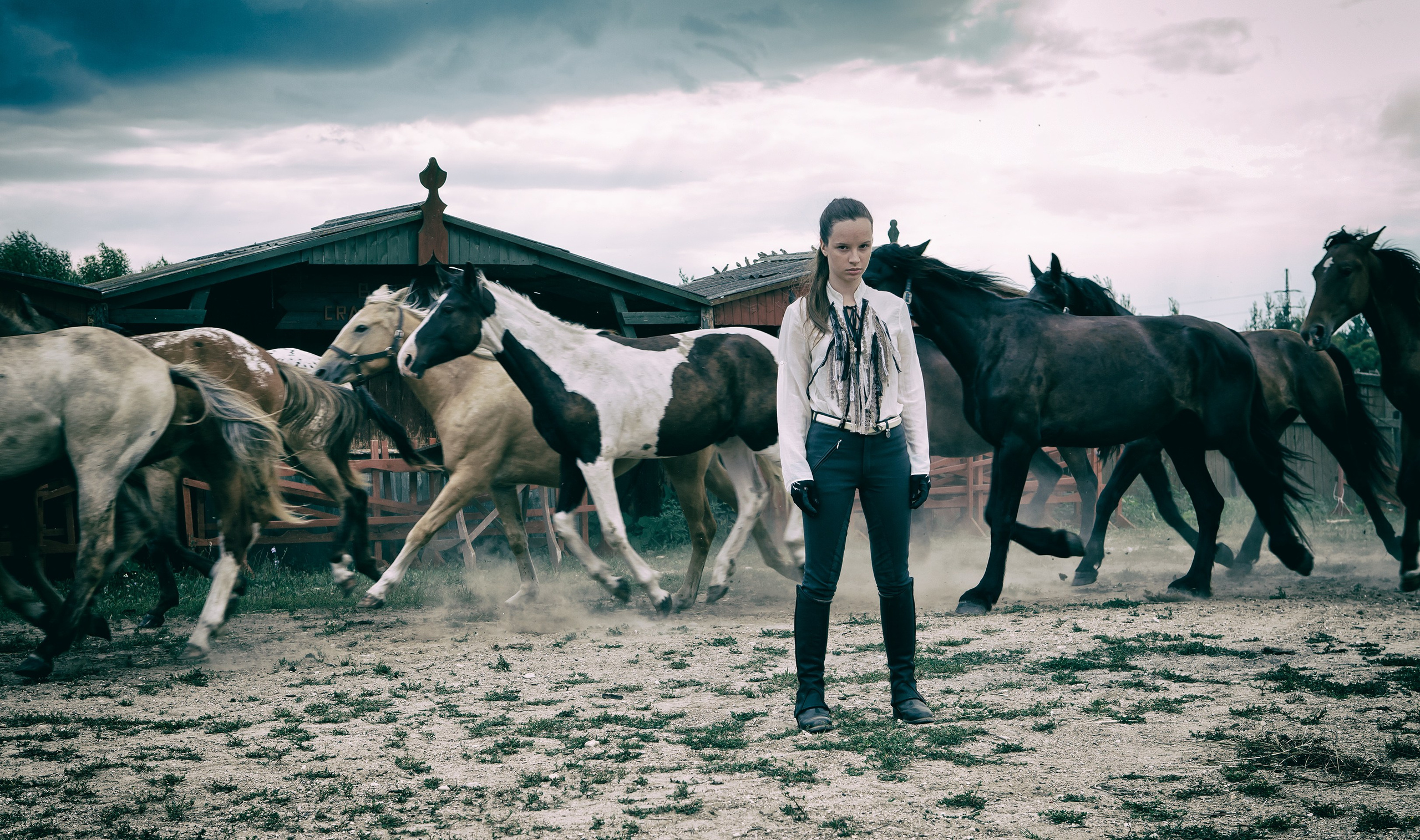 Фотосесия девушки на конной фермы на фоне бегущего табуна лощадей.