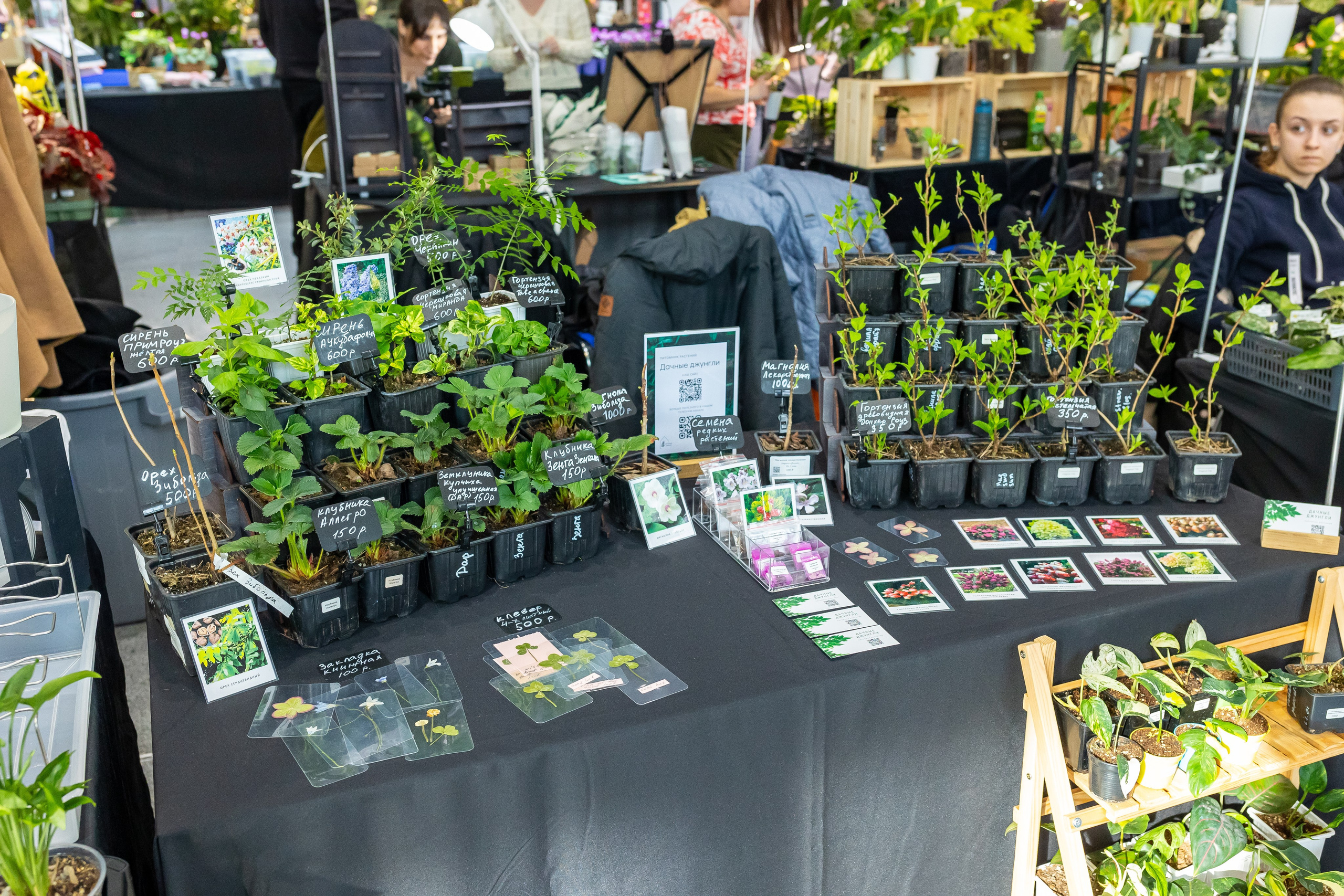 Монстериум апрель 2025. Александра Куликова фотограф, Москва