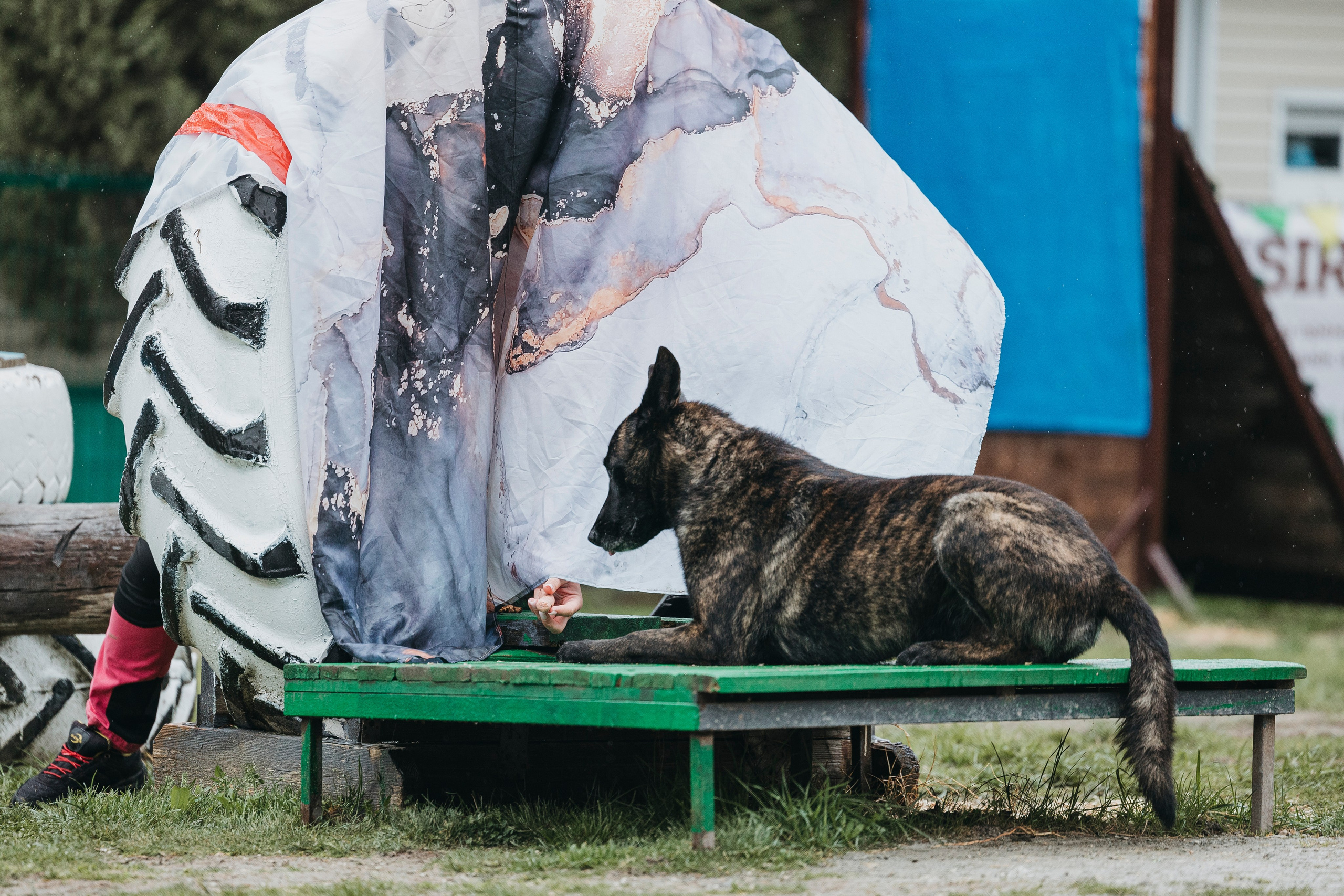 Геленджик Мондьоринг. Фотограф-анималист Анна Маринич