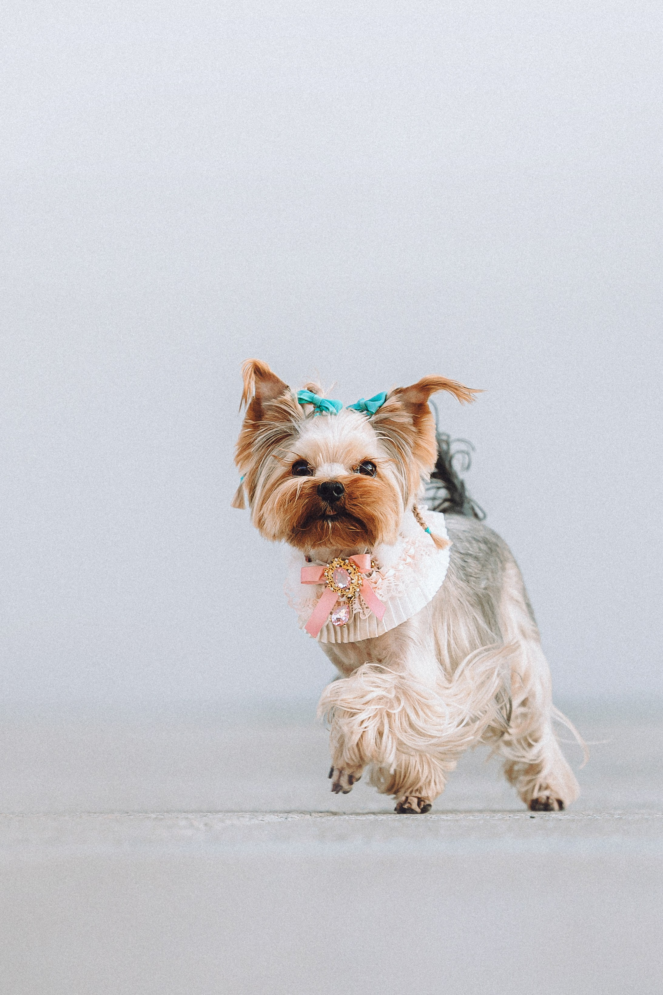 Дженни, Оливия и их семья