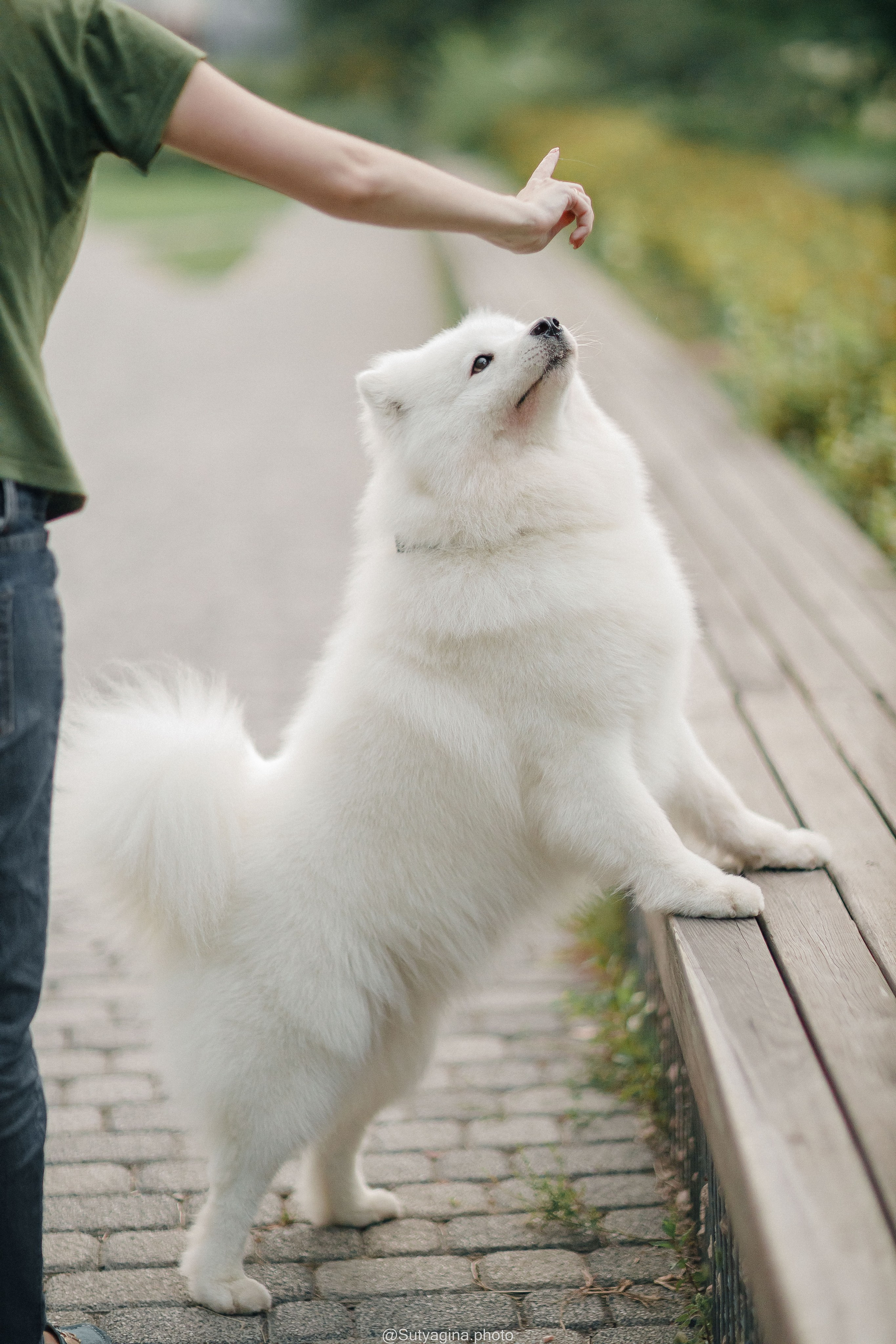 Самоед Рея. Свадебный и женский фотограф