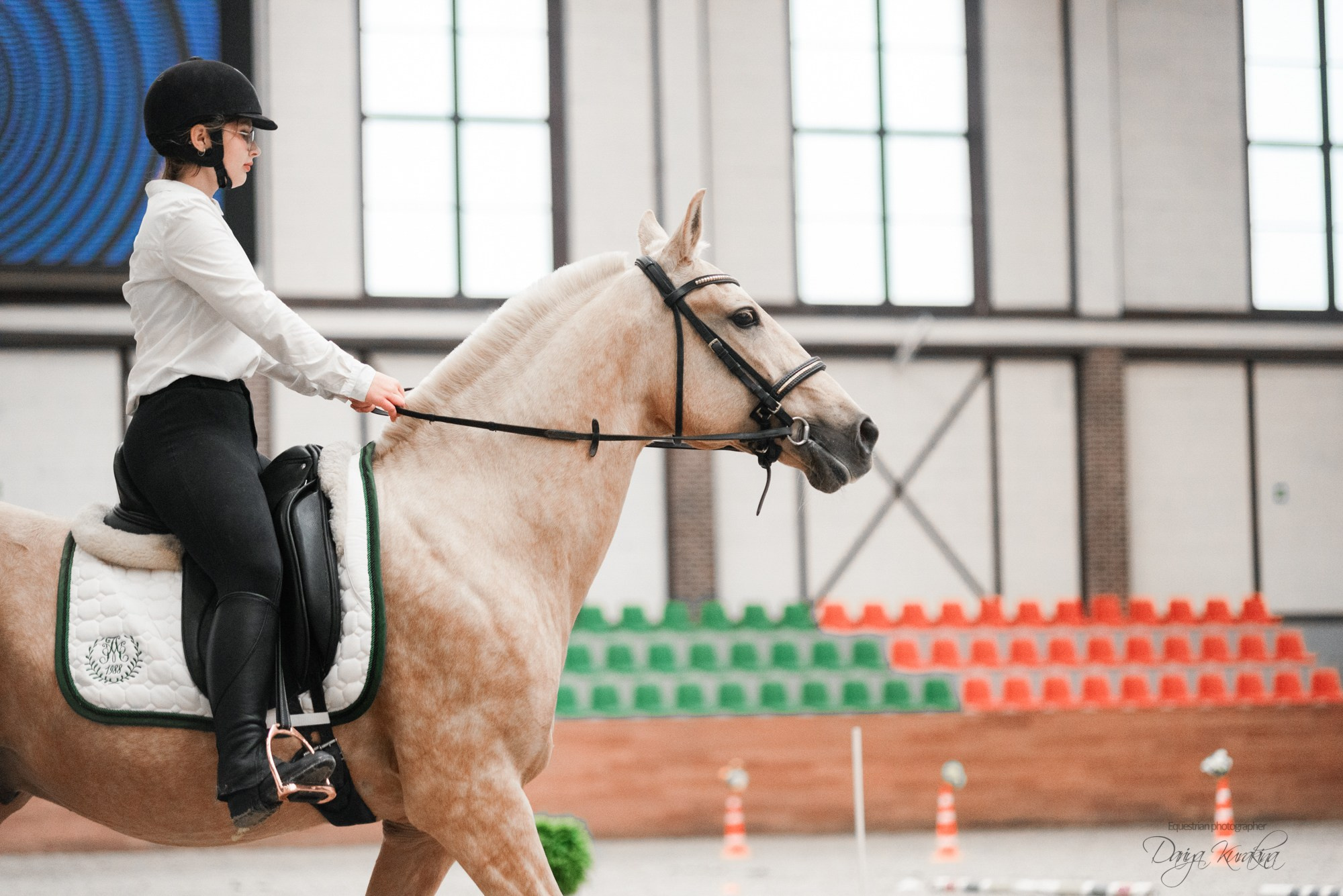8-я международная выставка Конная Россия. Конный фотограф Куракина Дарья • Фотосессии с лошадьми