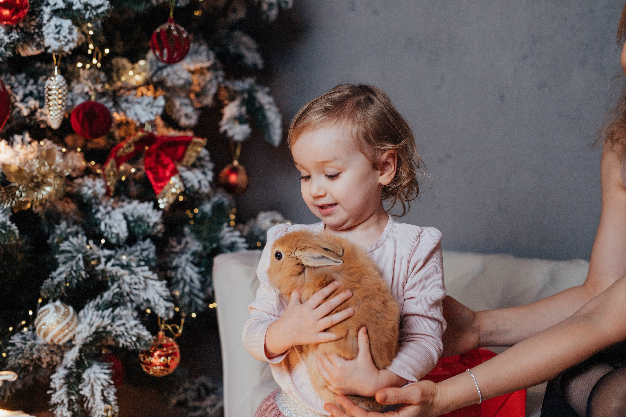 Новогодние фотосесии. Семейный фотограф в Обнинске Вера Весенняя