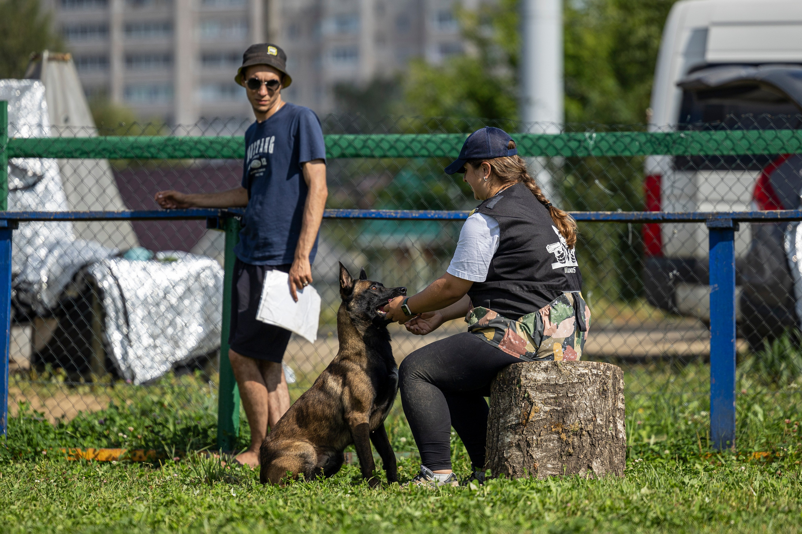Соревнования по Мондьорингу г. Вологда 10-11.08.2024. Фотограф-анималист Анна Маринич