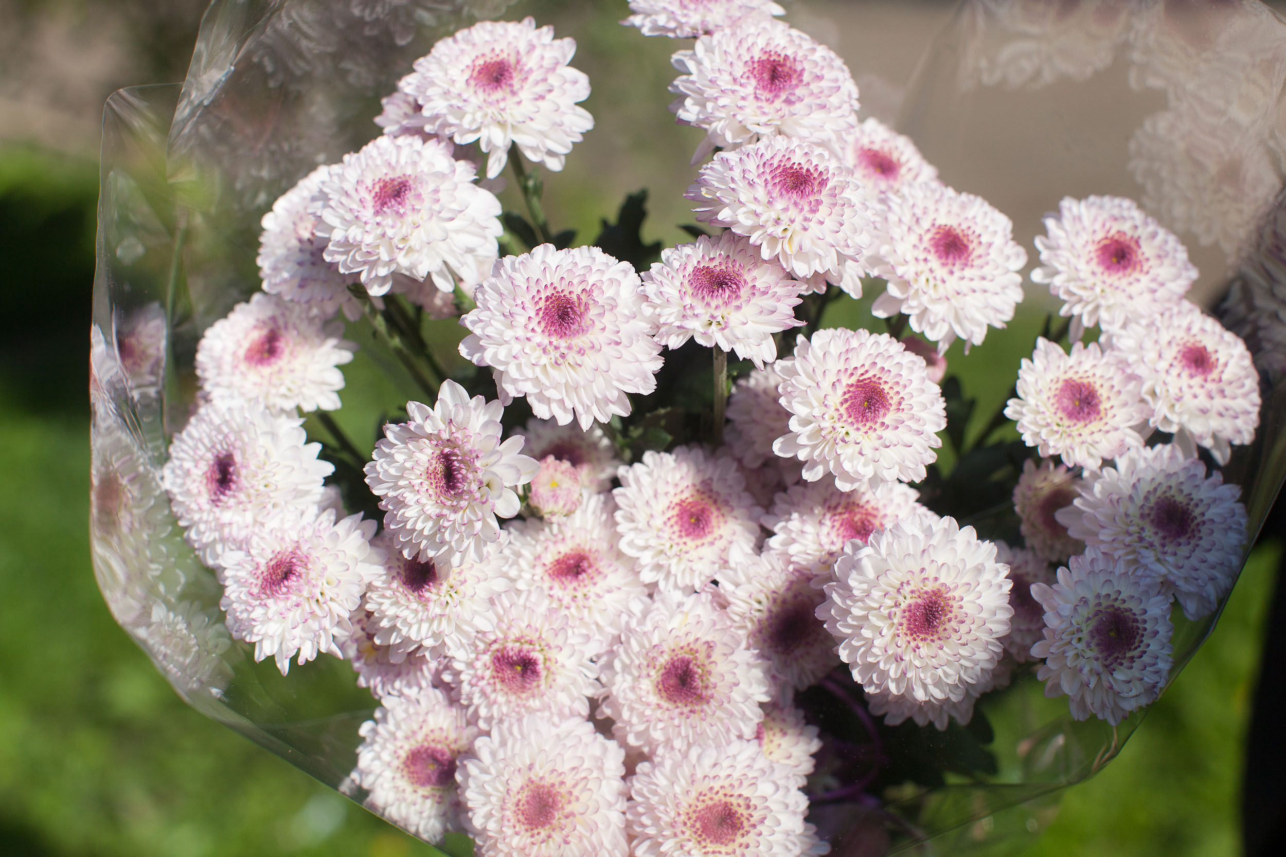 Выписка из роддома: фото-видеоуслуги