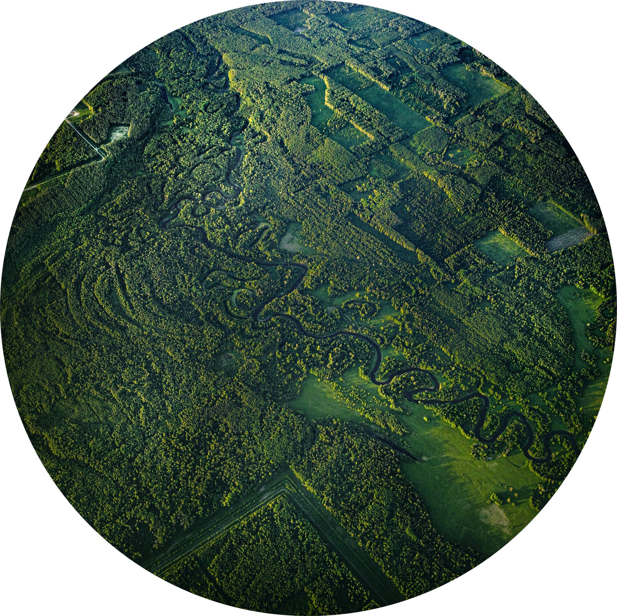 Ситец небес 2024. Яна Каменская