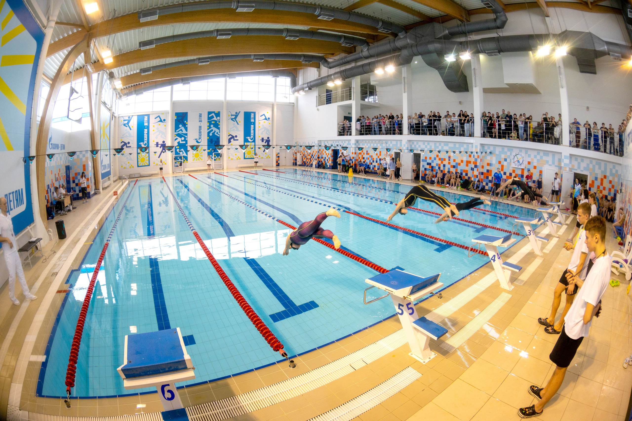 Плавание в ластах (разные годы, более 10 репортажей выборка пополняемая). Фотограф в Туле Крупский АнДРей. Фотостудия «КАДР71» в Туле