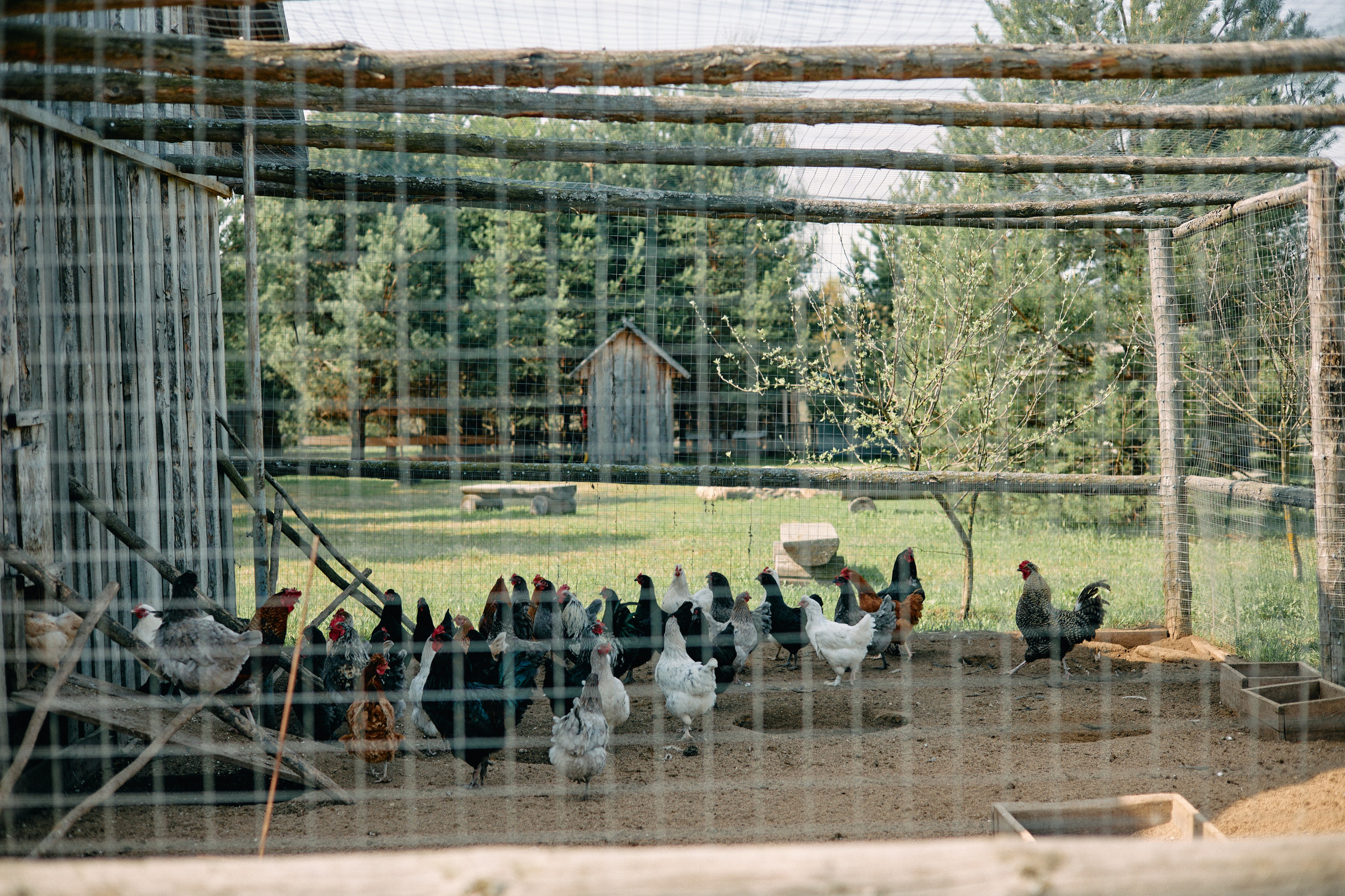 Бутик-отель Поле летом. Профессиональный Фотограф во Владимире, в Москве и в Суздале — Полина Романычева
