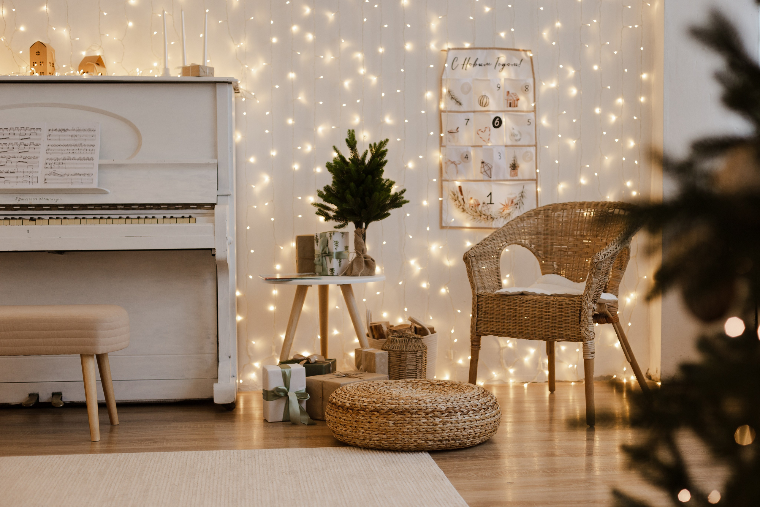 Новогодняя фотосессия в Железнодорожном и Балашихе — Закажите сейчас!