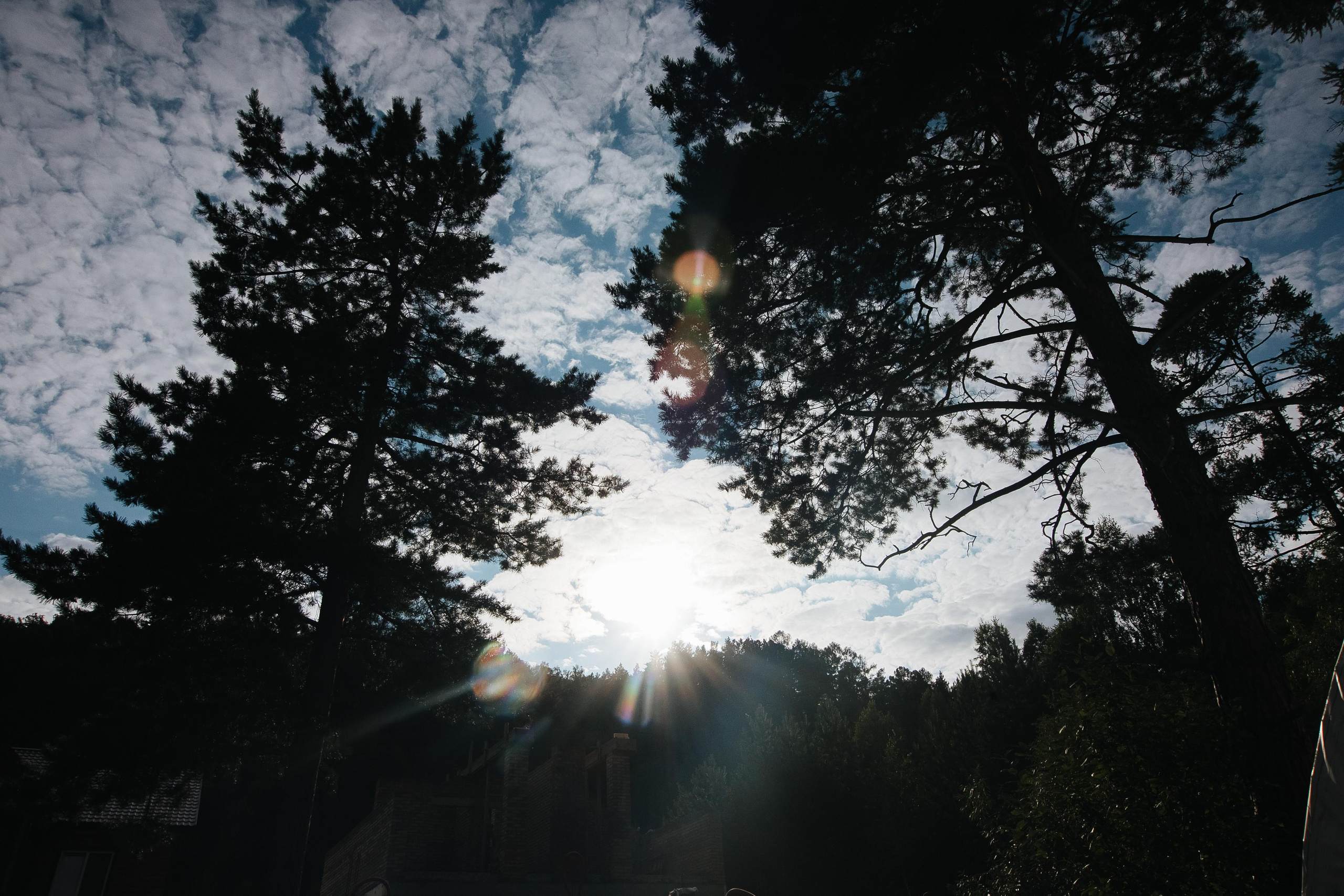 Алексей и Анастасия. Фотограф в Красноярске Надежда Воскресенская